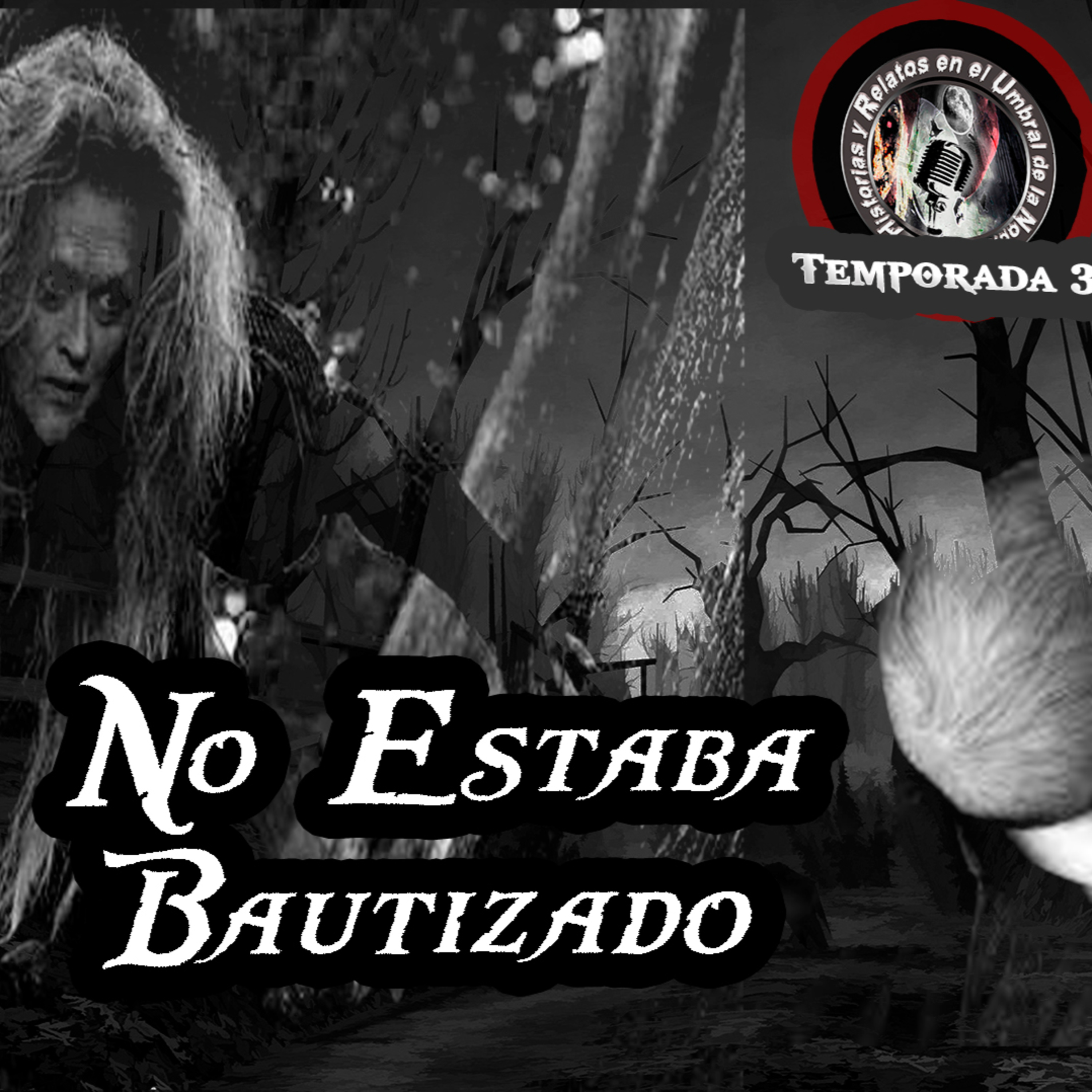 Historias y Relatos en el Umbral de la Noche