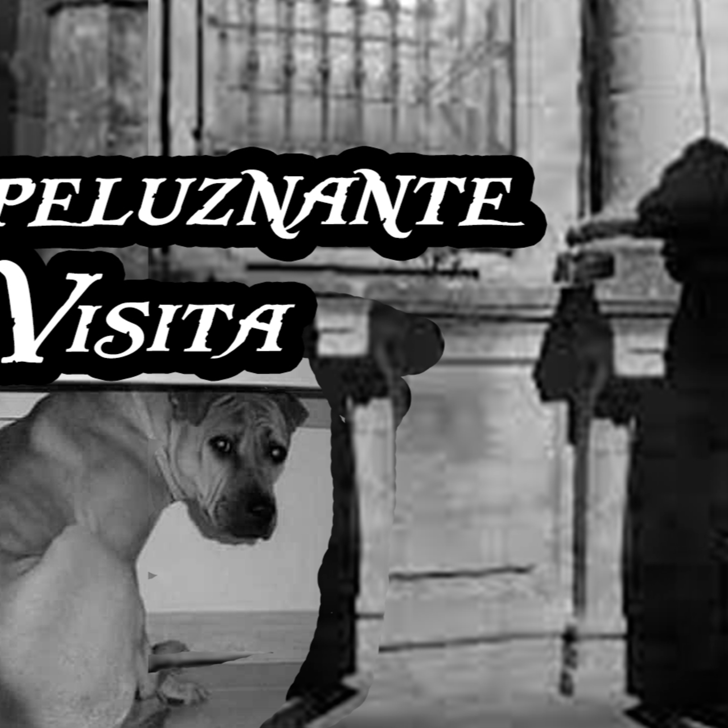 Historias y Relatos en el Umbral de la Noche