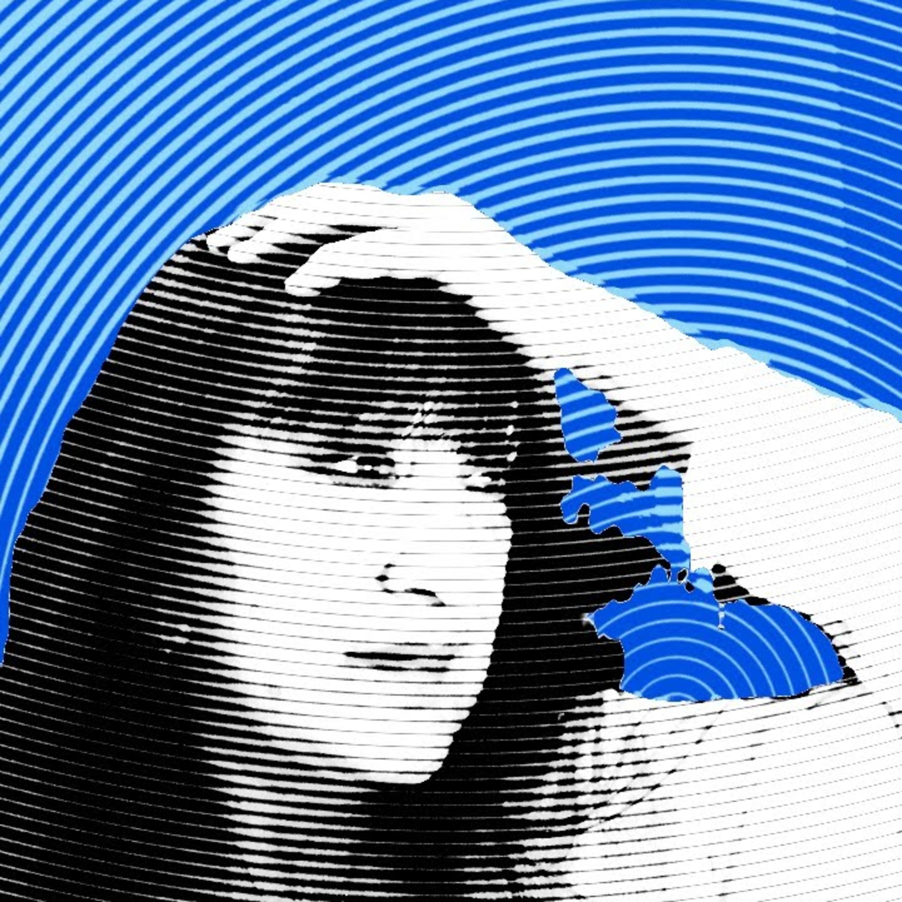 N.A.R.C. Troopers: Narcissistic Abuse Recovery Collaborators