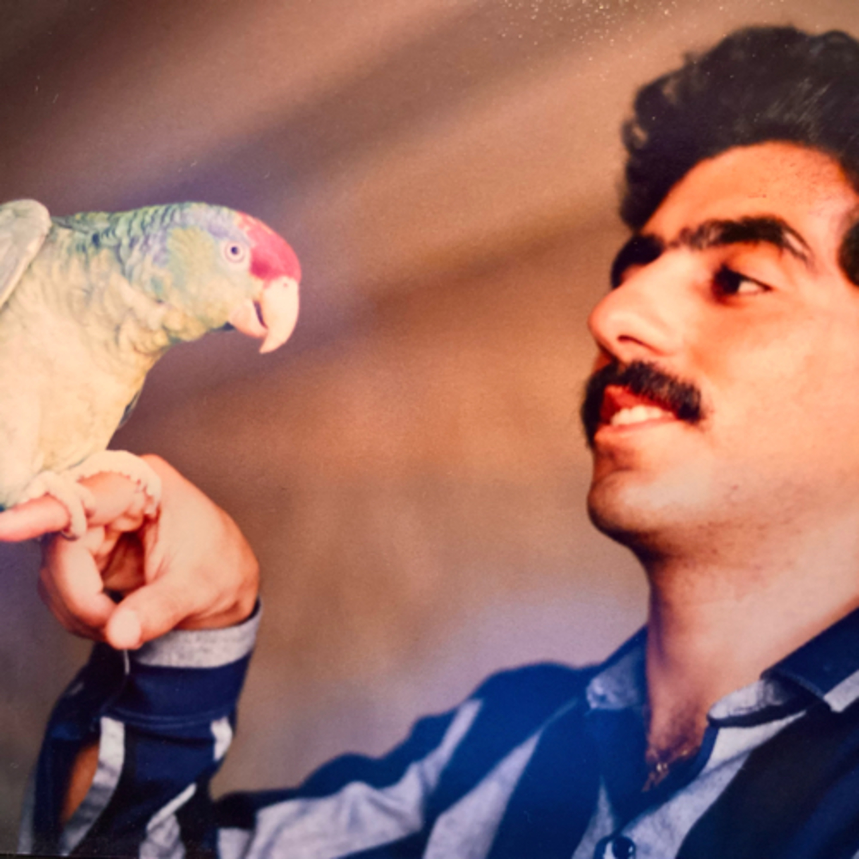 The Arabian Traveler Poetry