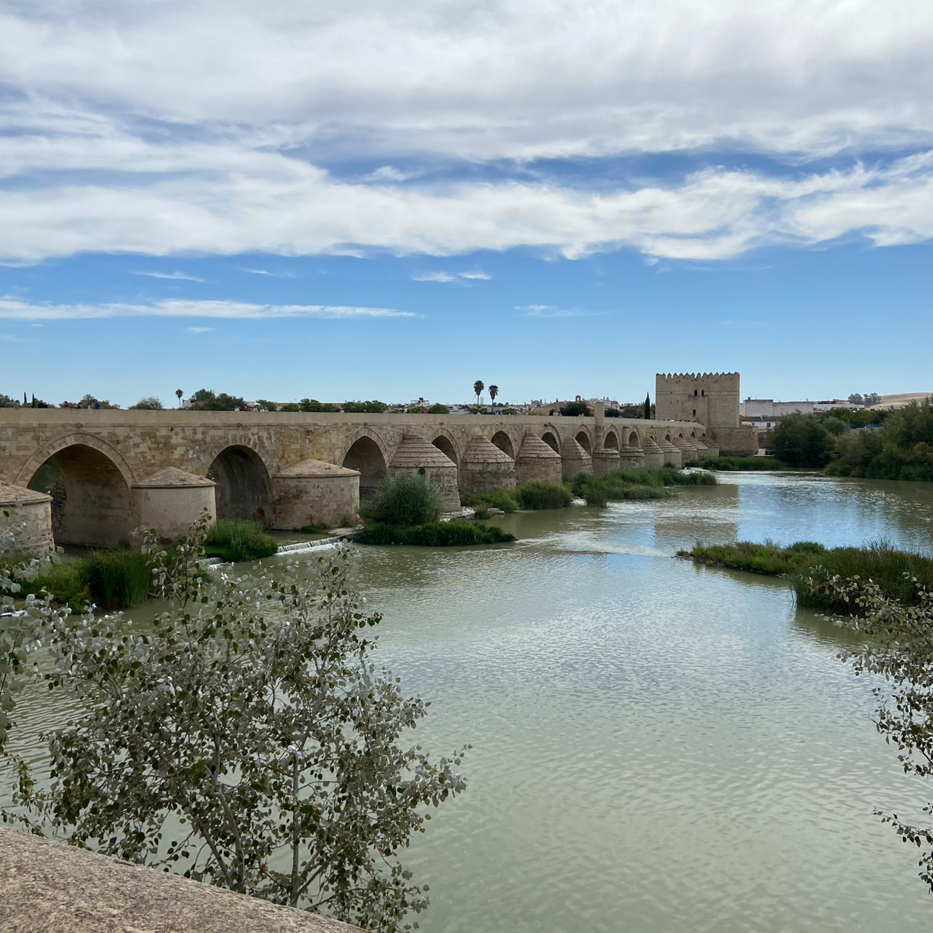 The Arabian Traveler Poetry