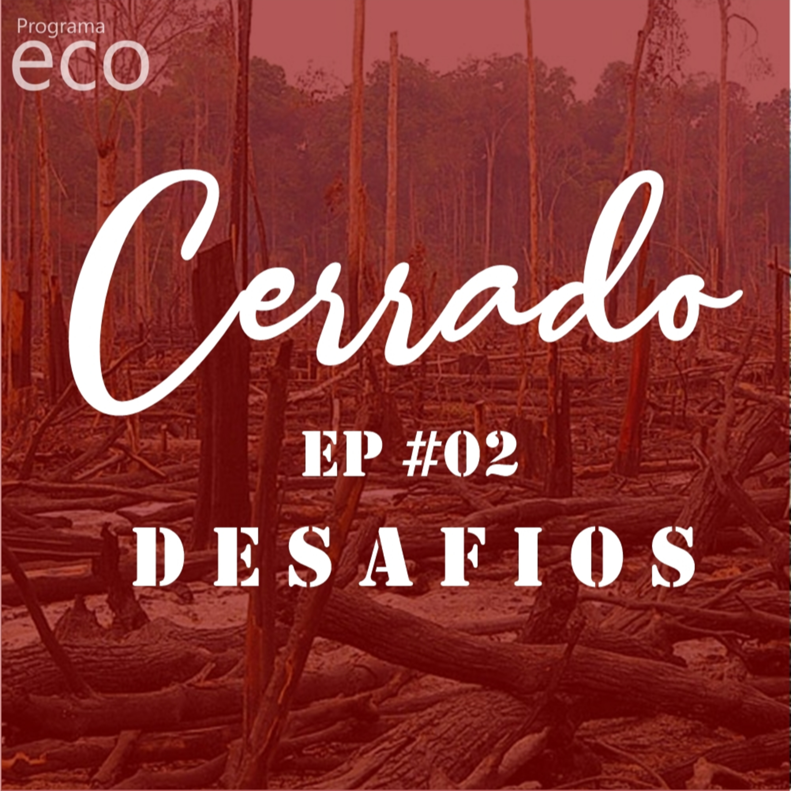 Programa ECO