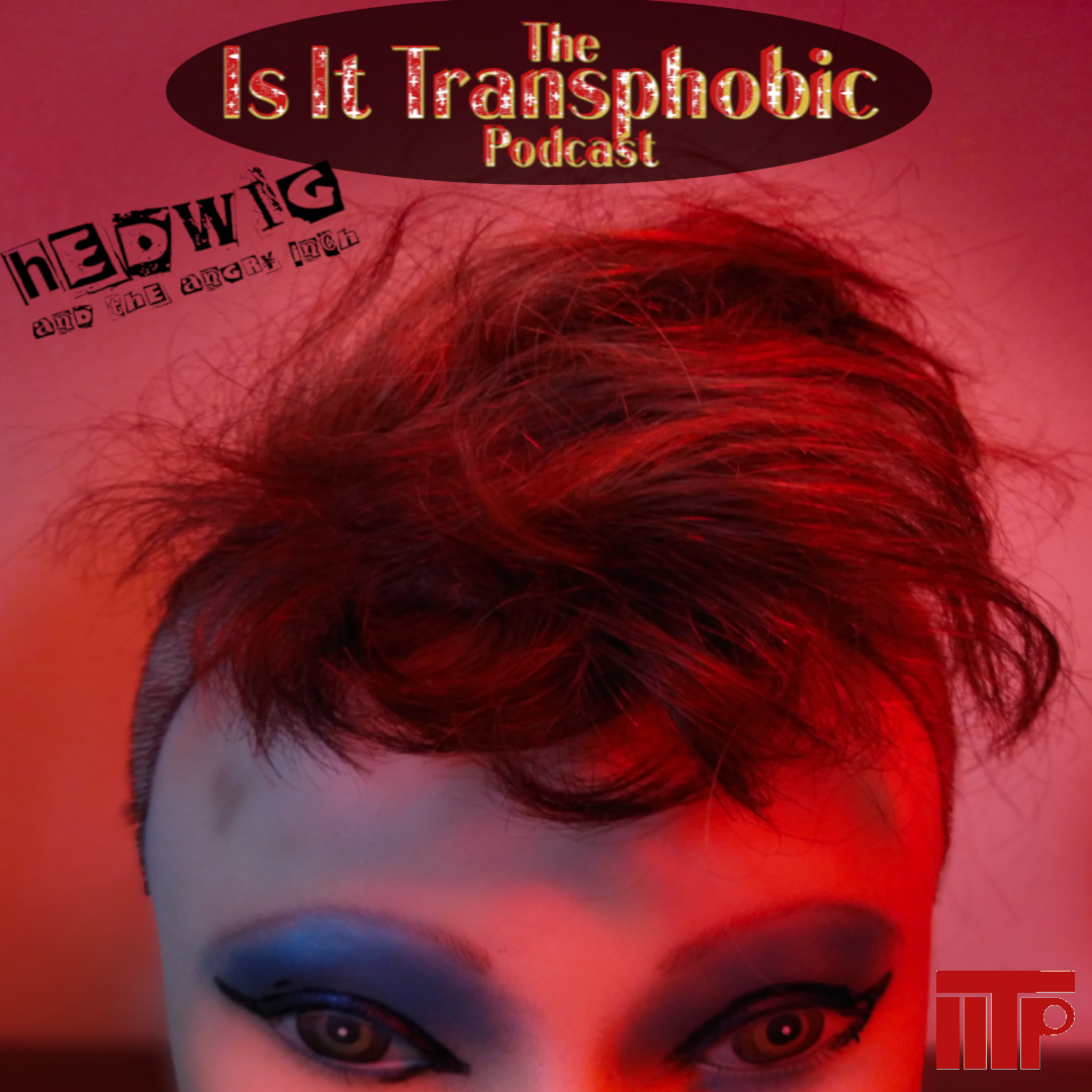 Is It Transphobic Podcast