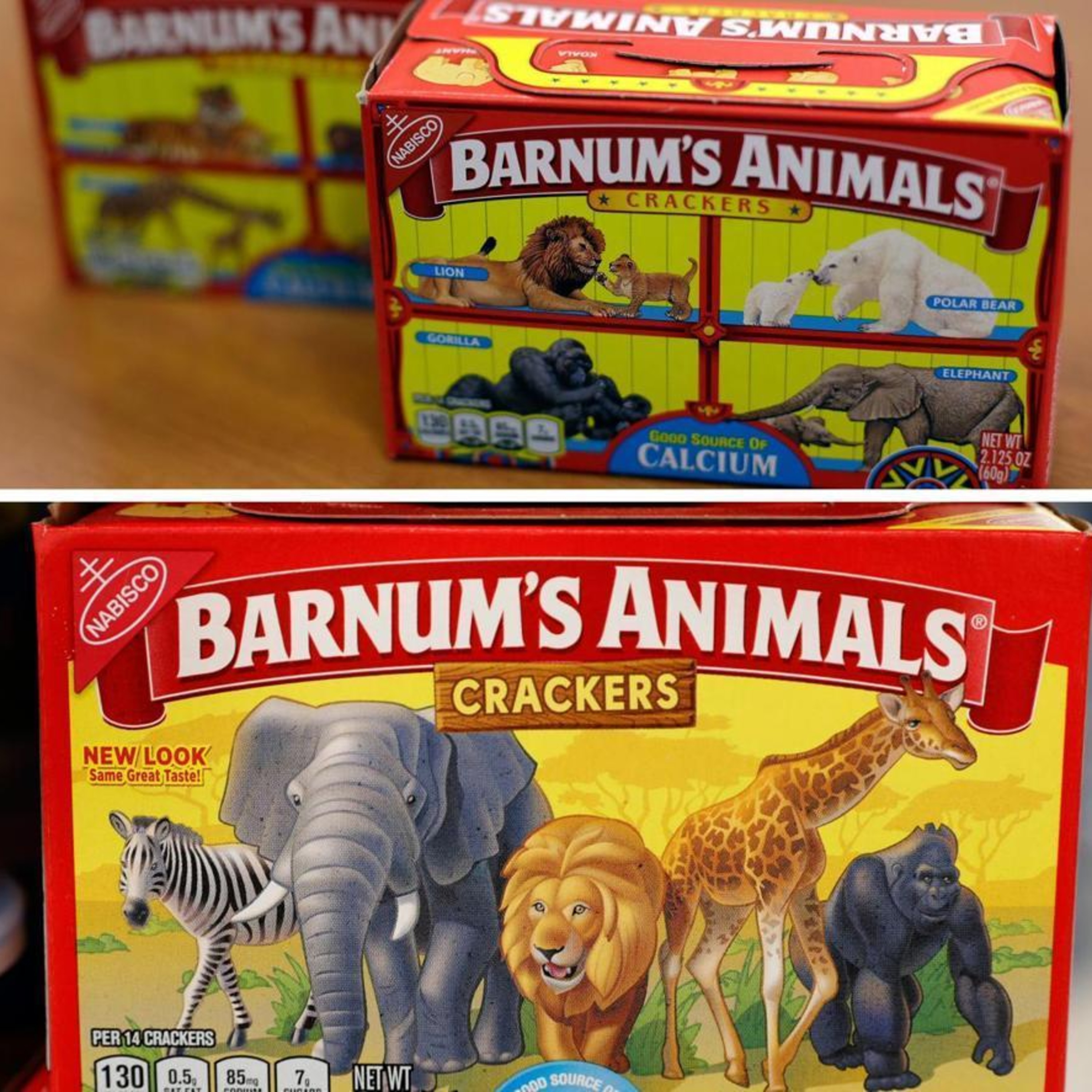 Episode #62: Animal Crackers Were For The Circus? 🤡🐘🐅🦄 episode artwork