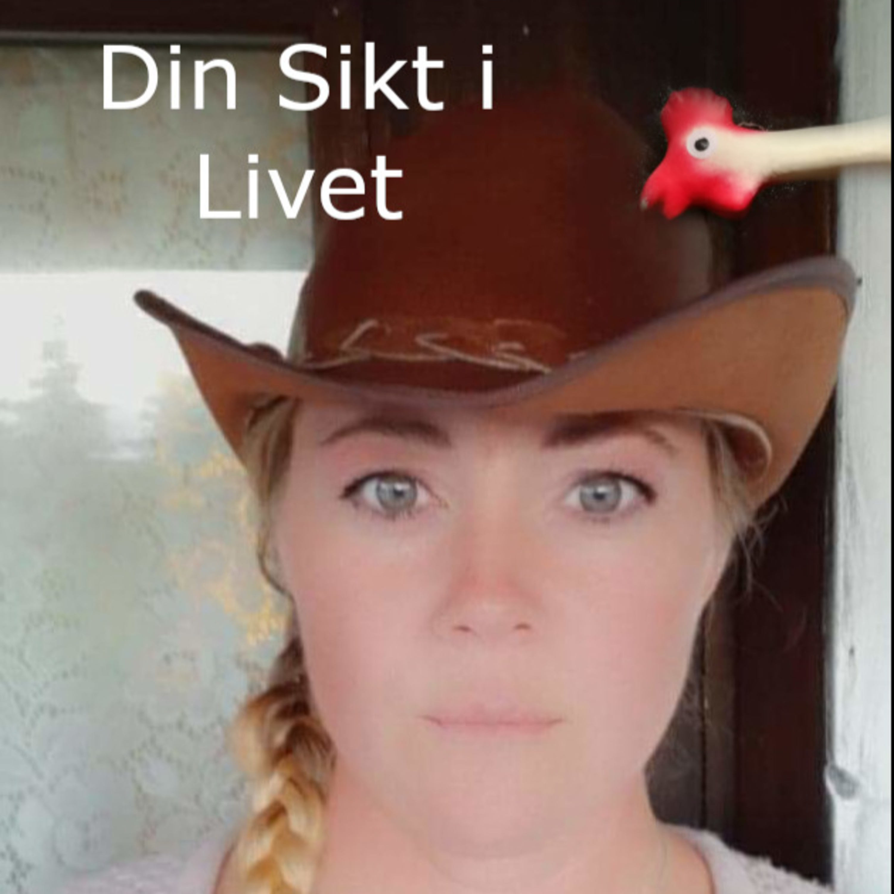 Din Sikt i Livet