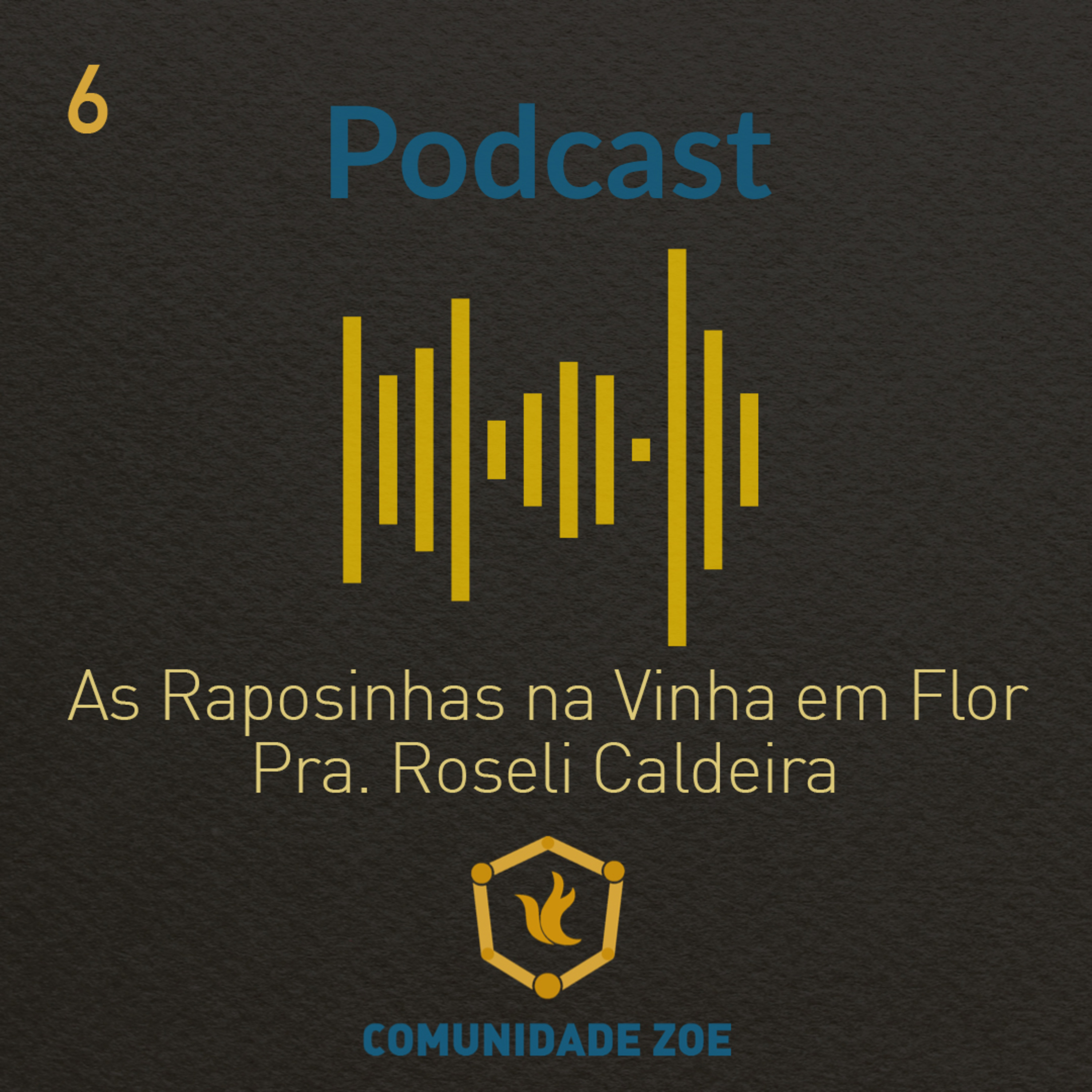 Replay - Comunidade Zoe