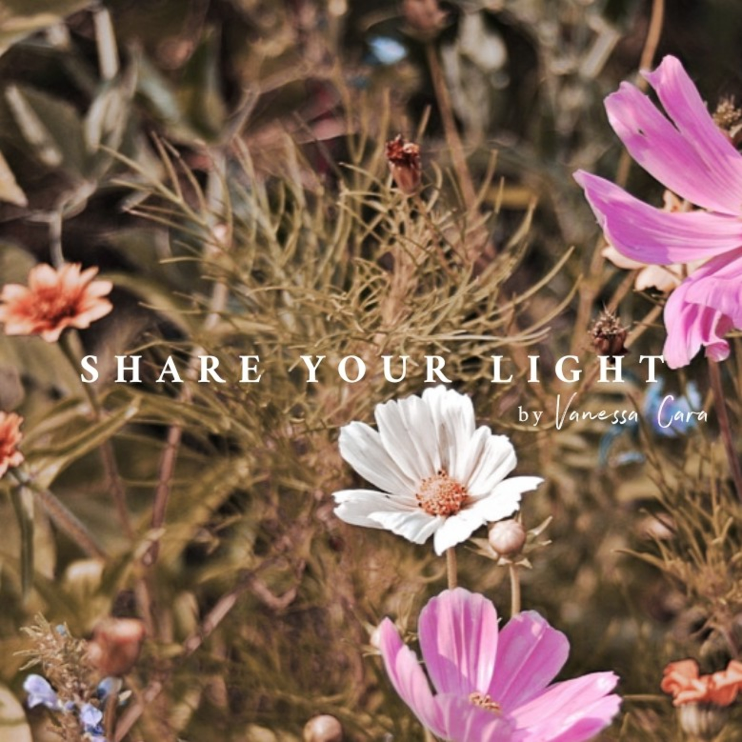 Share Your Light - Erinnere Dich daran, wer Du wirklich bist