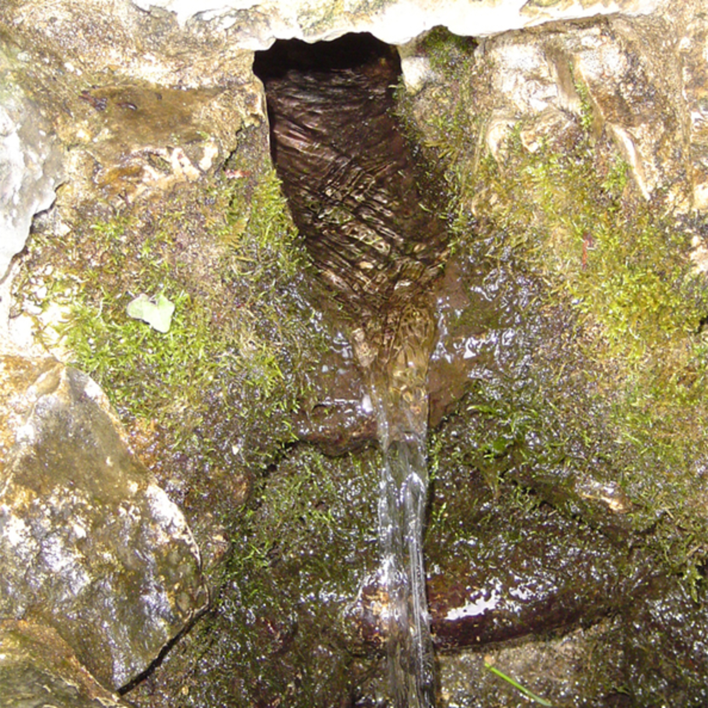 Living Water episode artwork