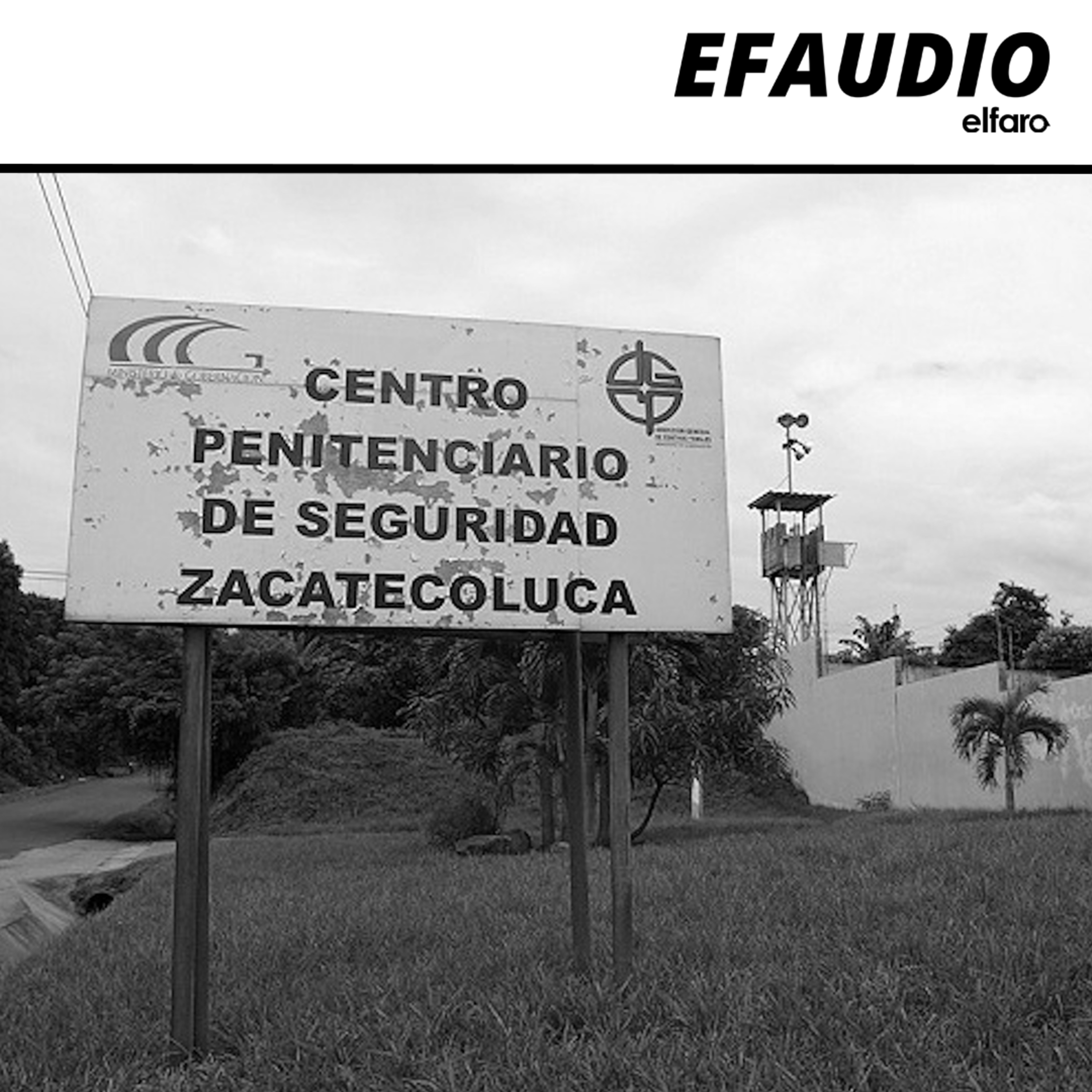 During March Massacre, El Salvador Government Took Four MS-13 Leaders Out of Prison episode artwork