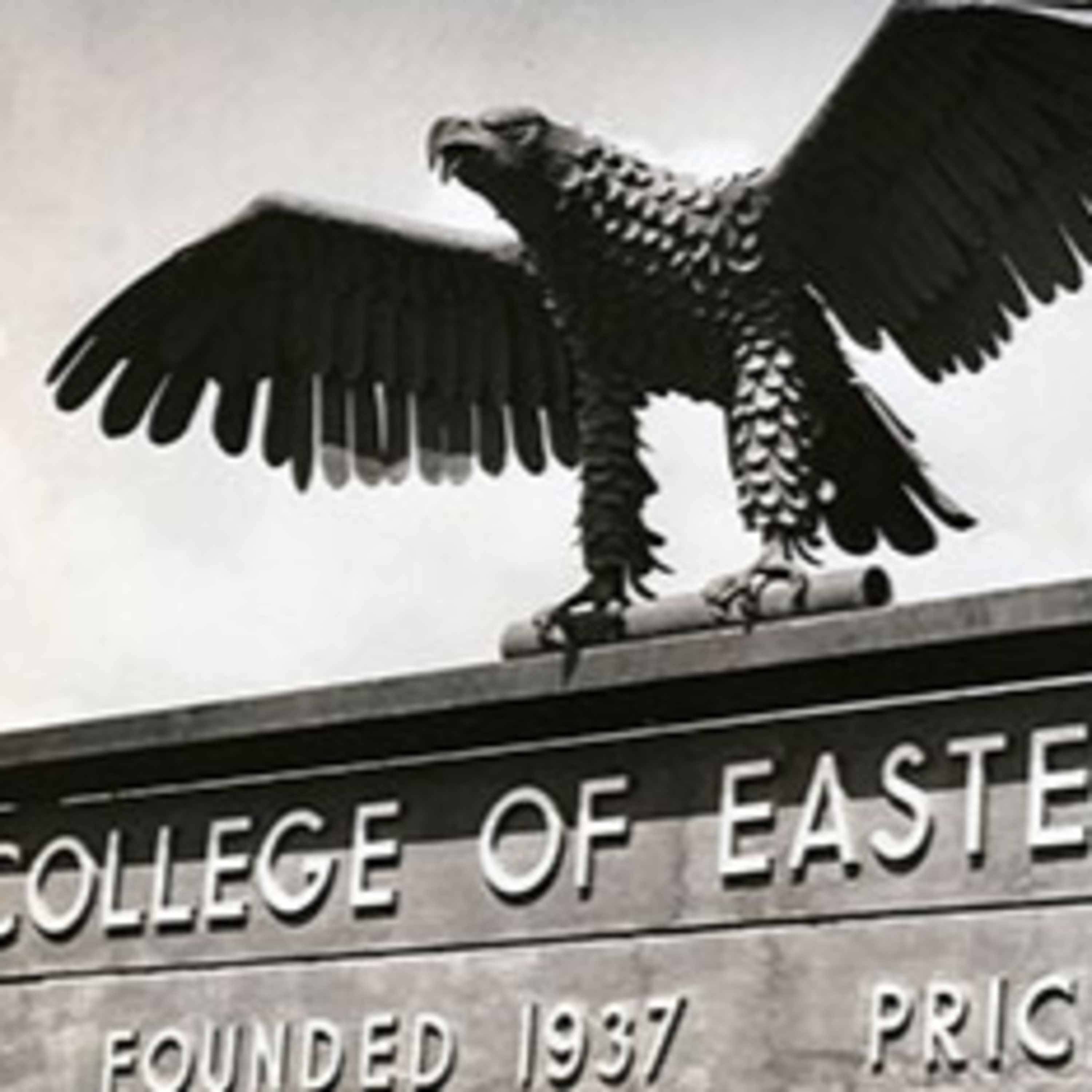Welcome Back Eagles! episode artwork