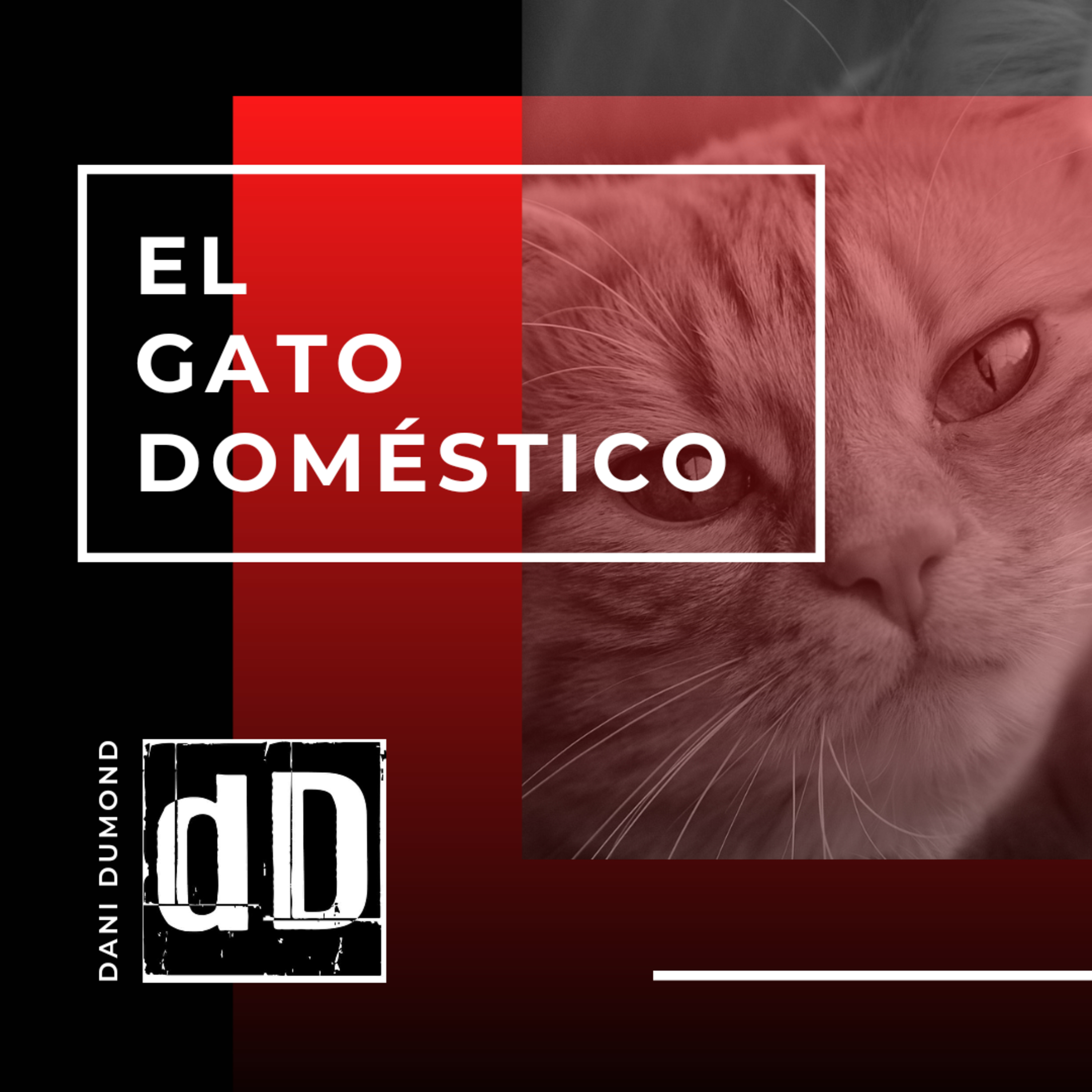 Dulce Distopía