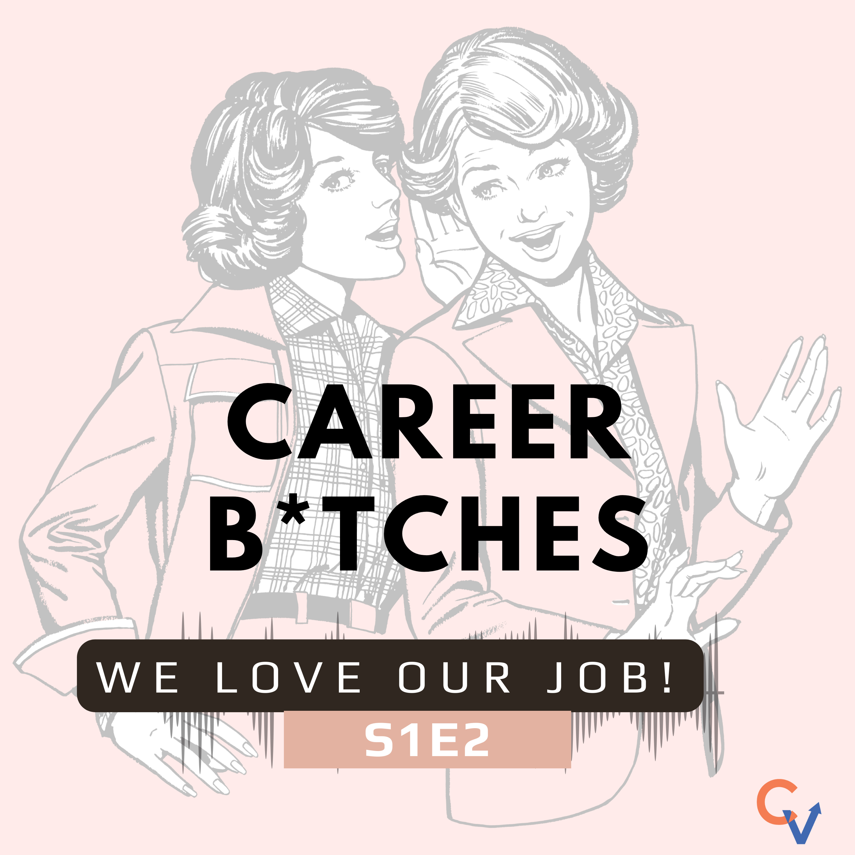 Career Bitches
