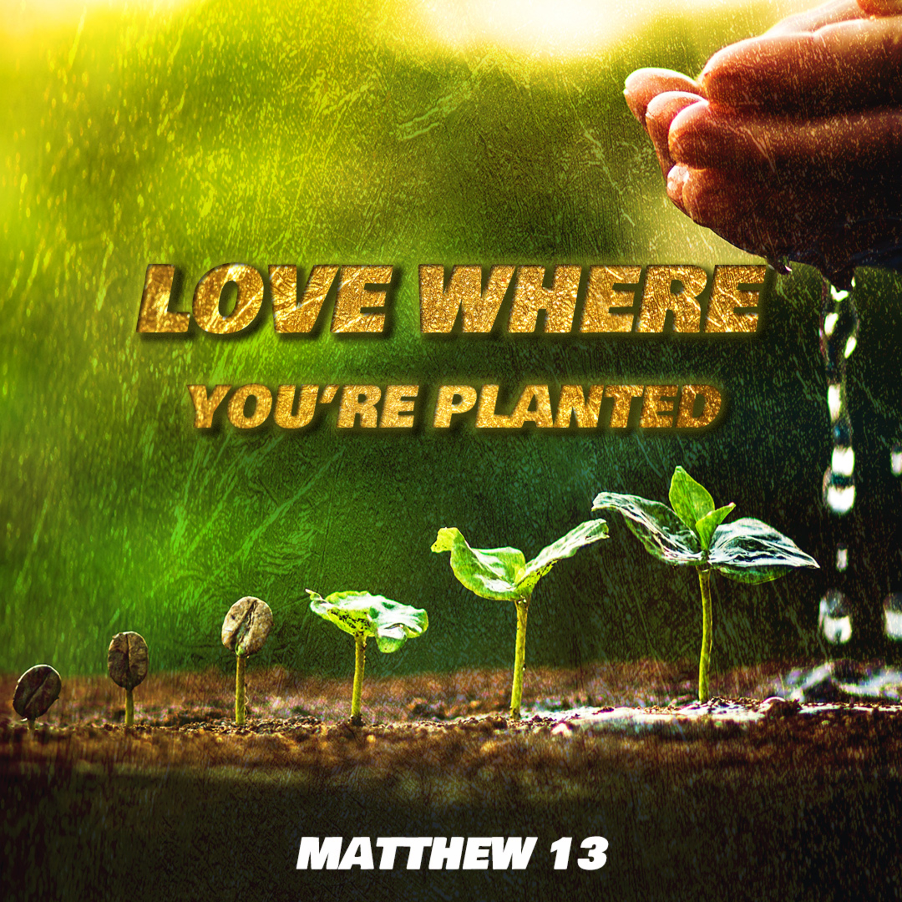 Love Where You're Planted 2 episode artwork