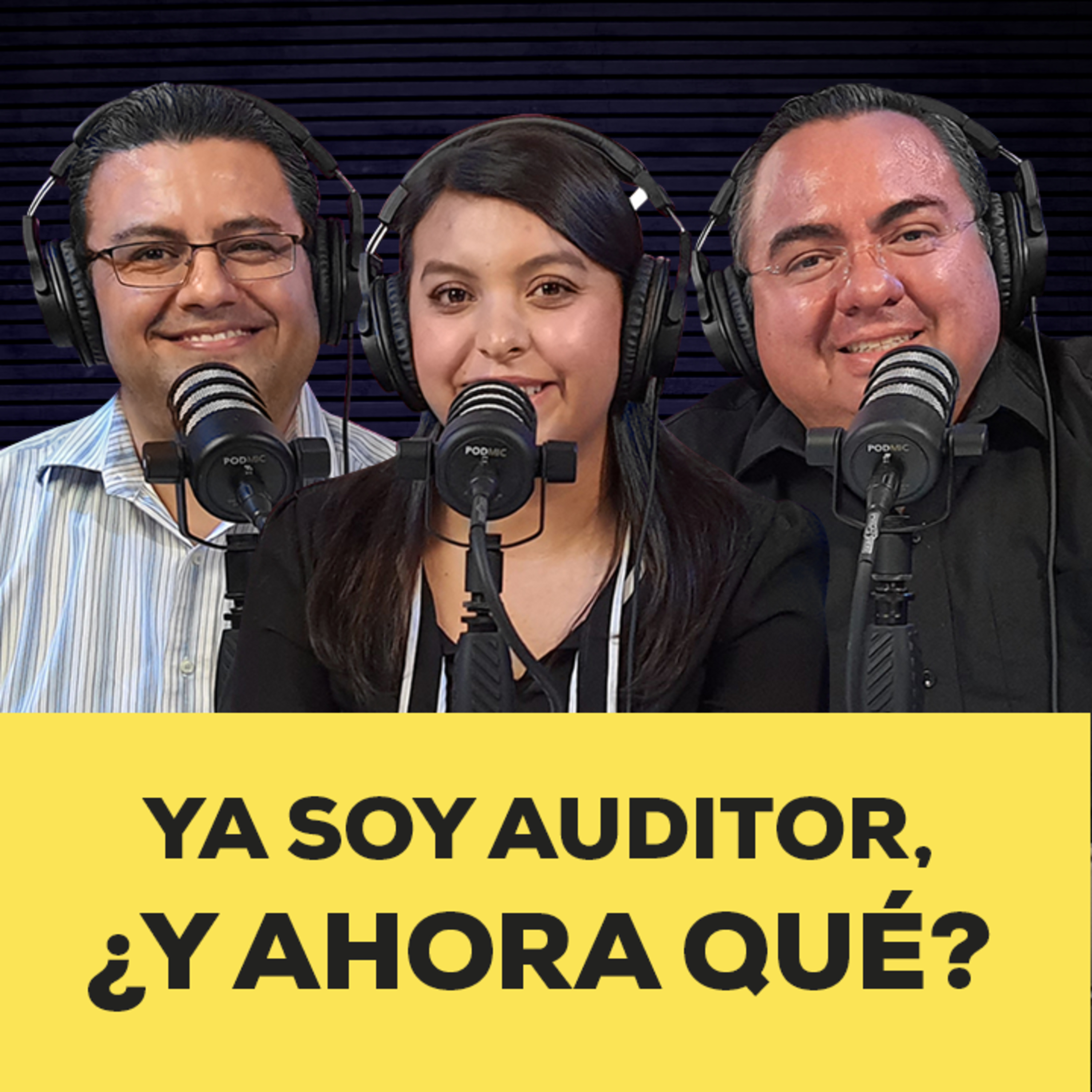 ¿Qué implica ser auditor y qué papel desempeña en el proceso de auditoría? episode artwork