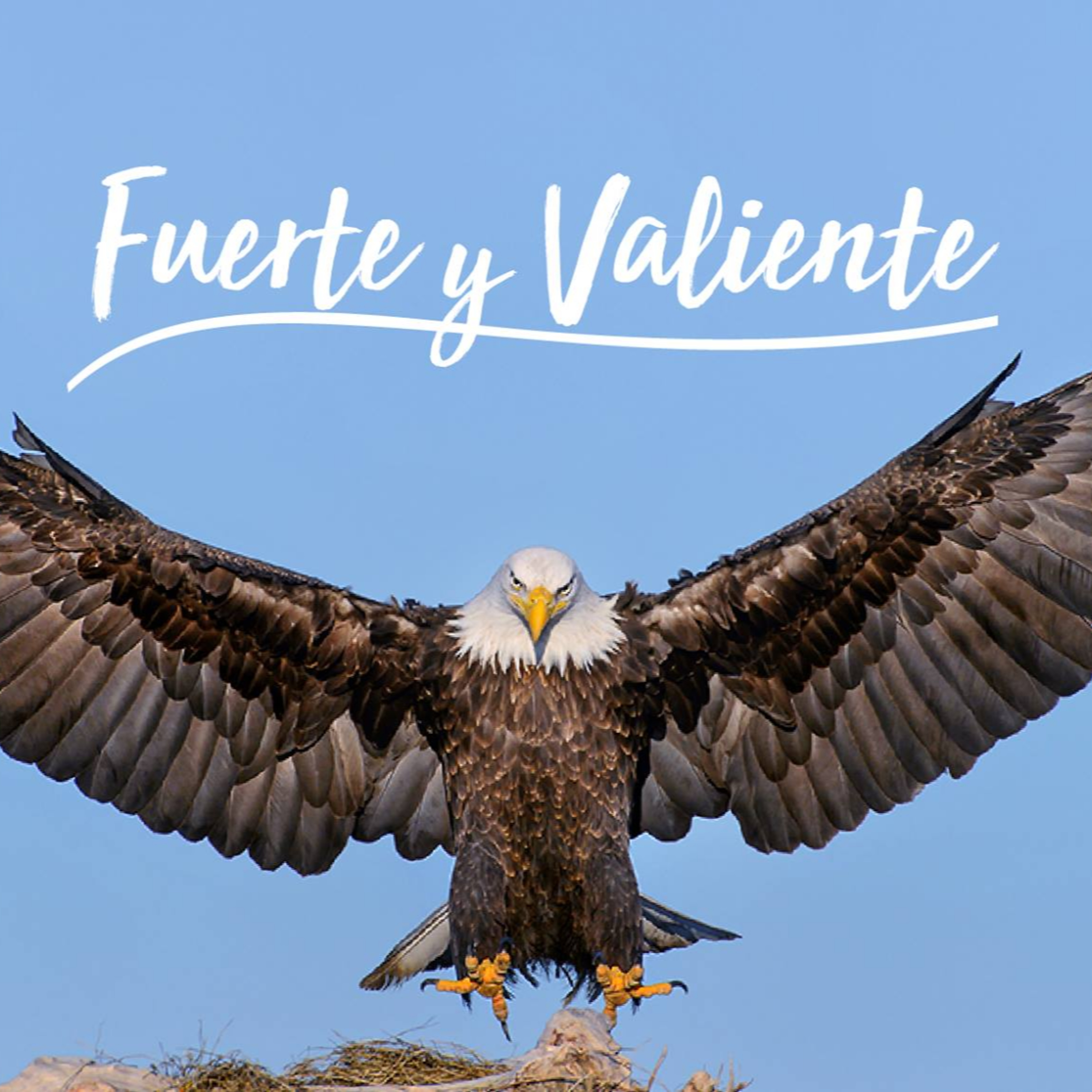 La Viña del Este