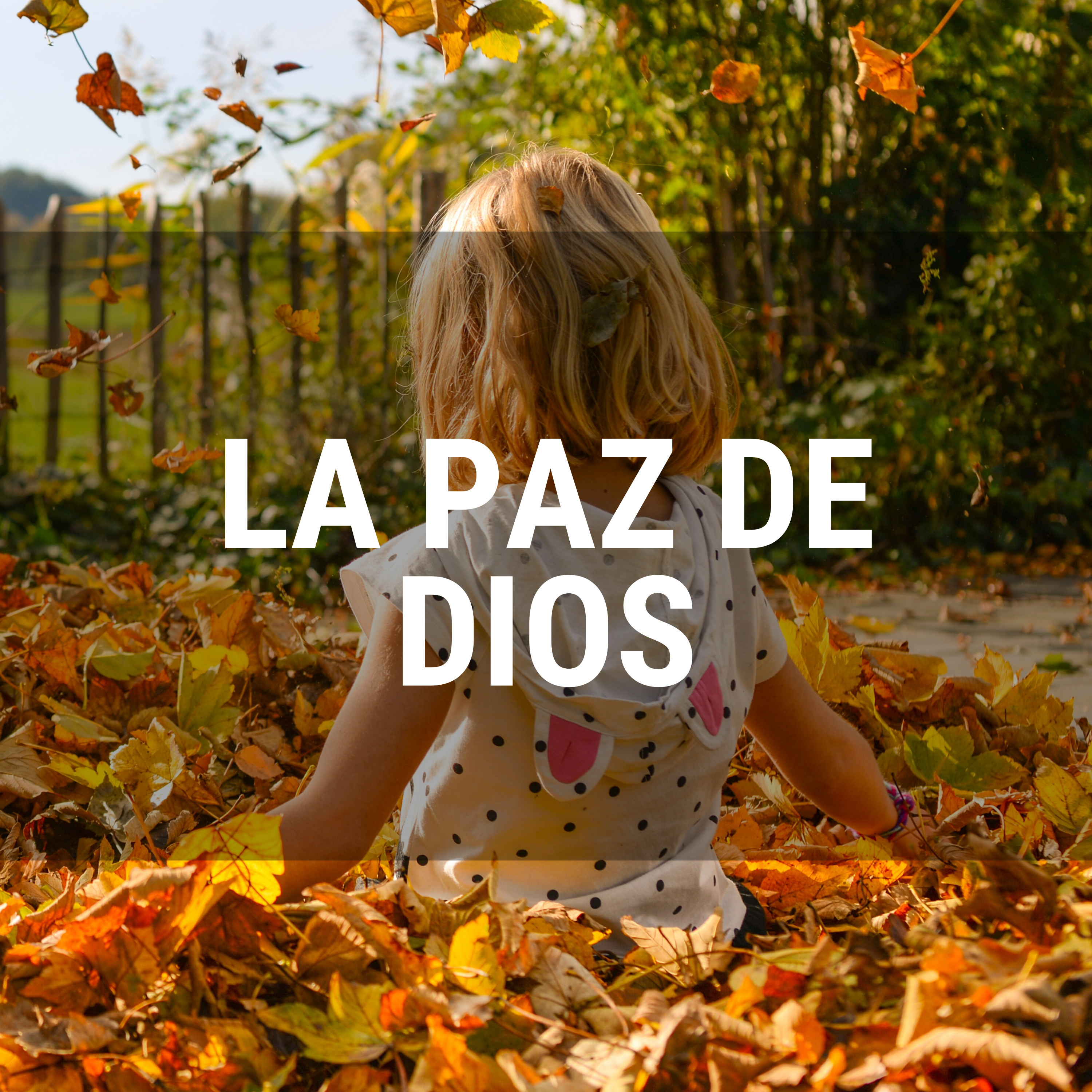 La paz de Dios  episode artwork