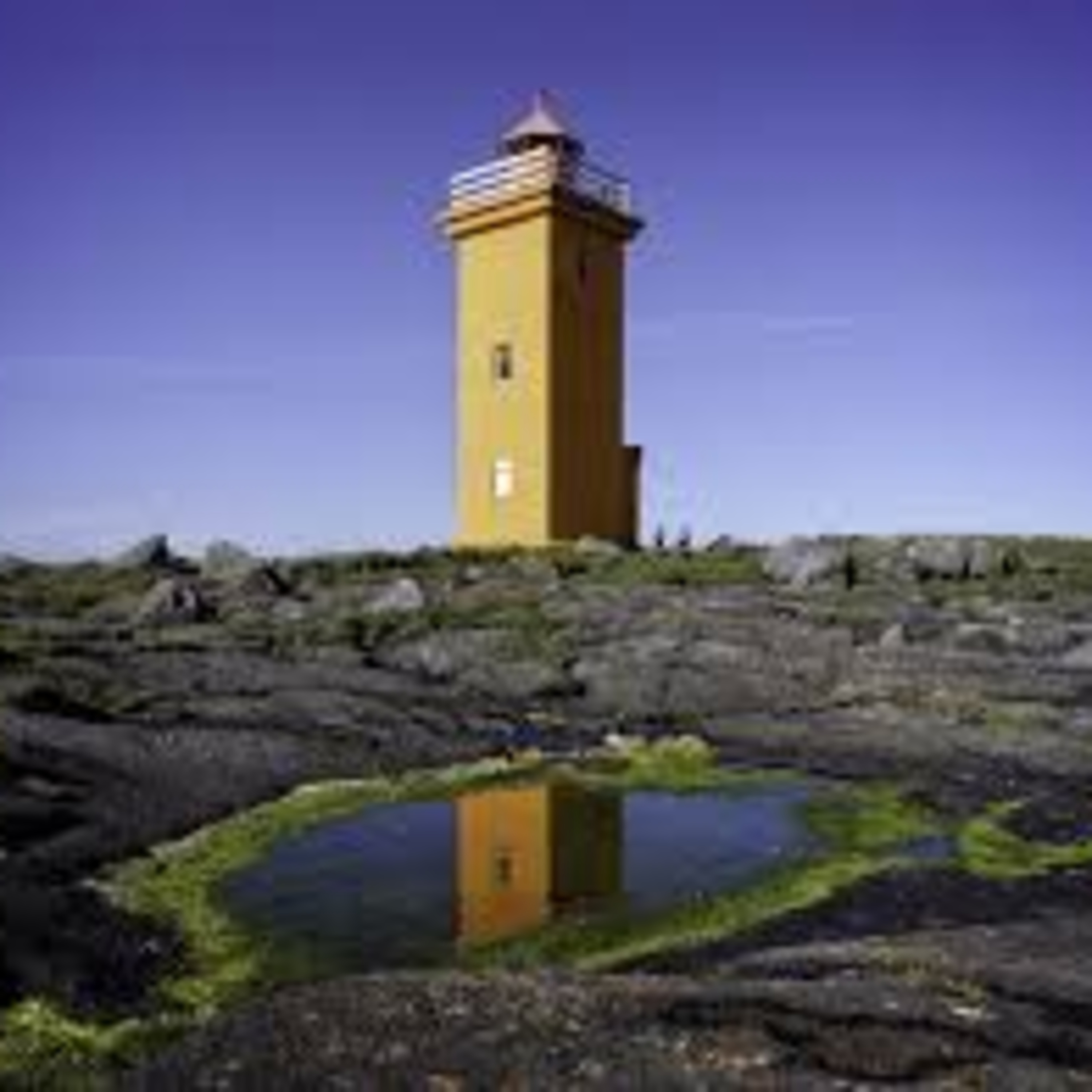 Límónutréð