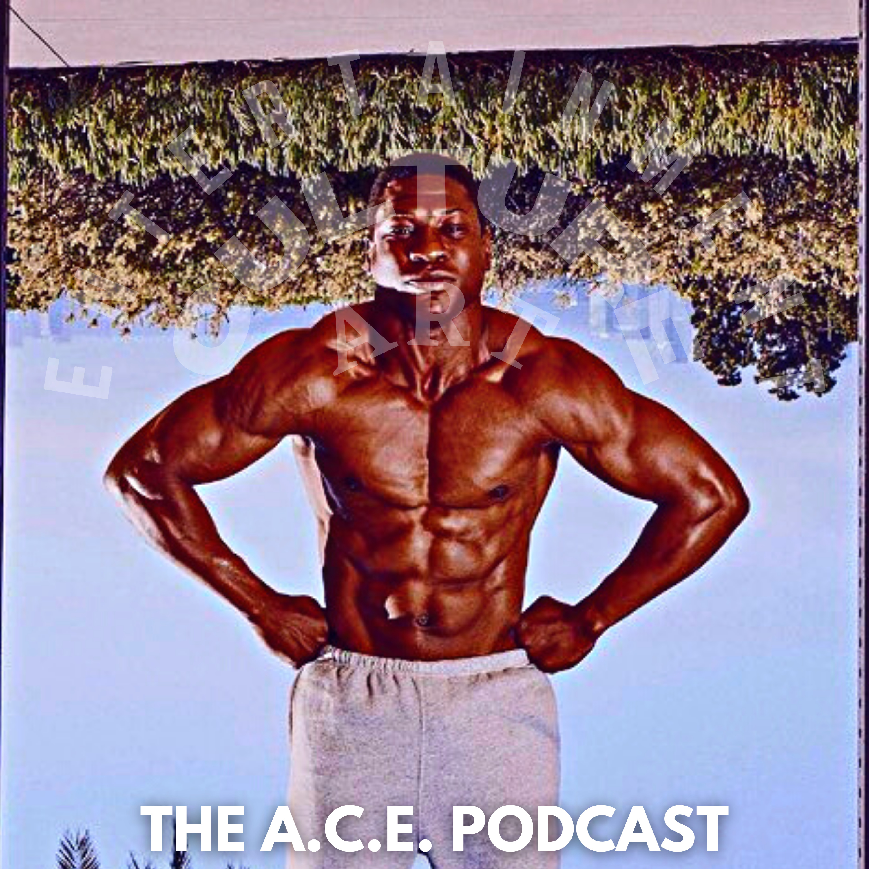 The ACE Podcast