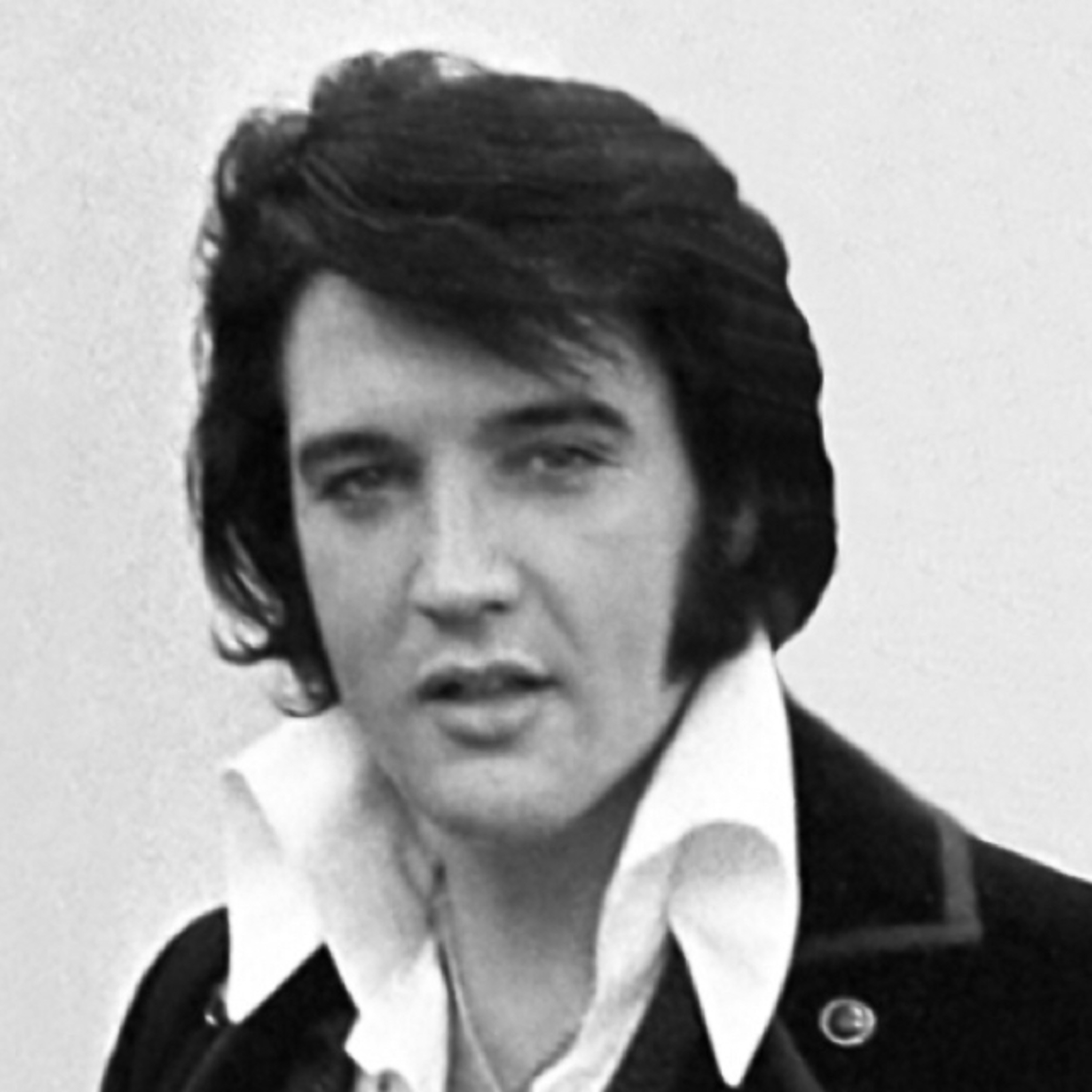 The Night I Met Elvis episode artwork