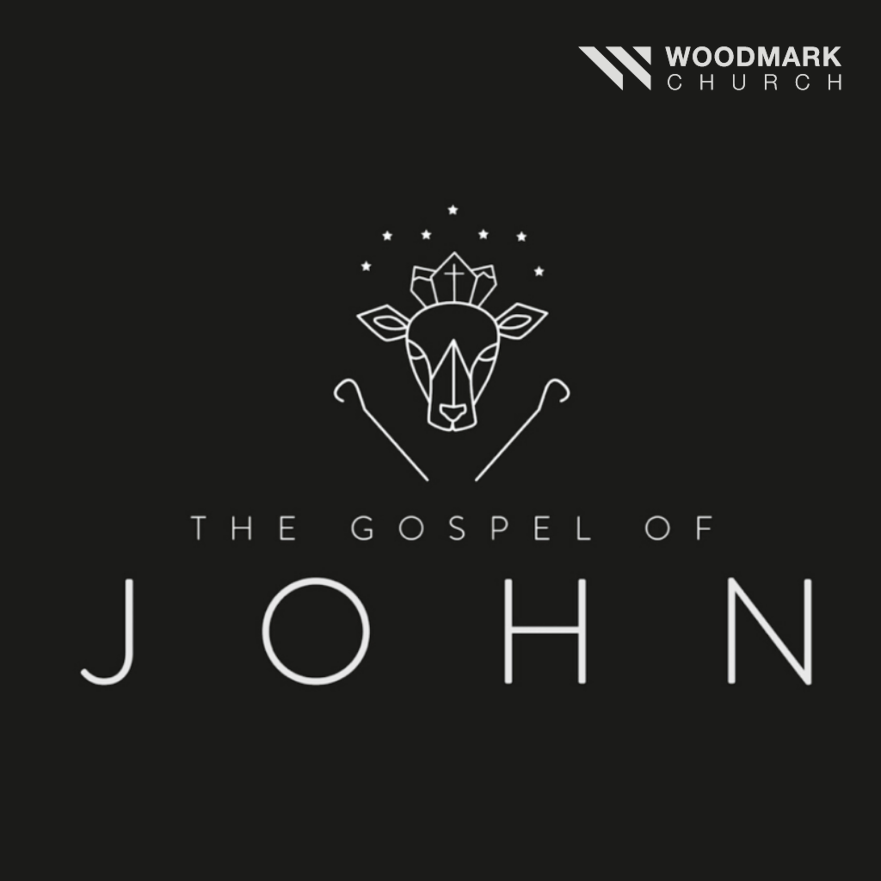The Gospel of John: John's First Two Sermons episode artwork