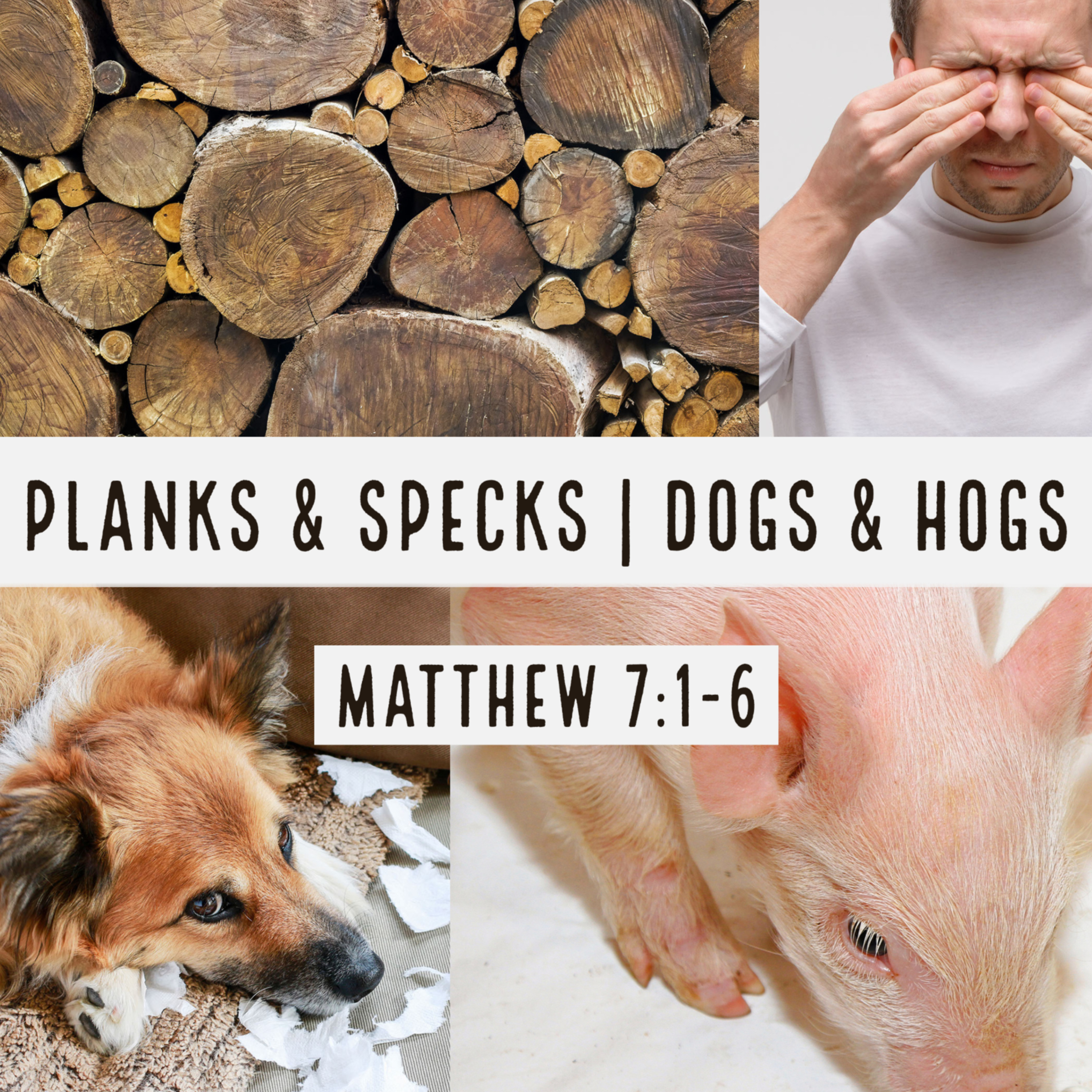 6-5-22 AM Sermon - Covey Wise - Planks & Specks | Dogs & Hogs episode artwork