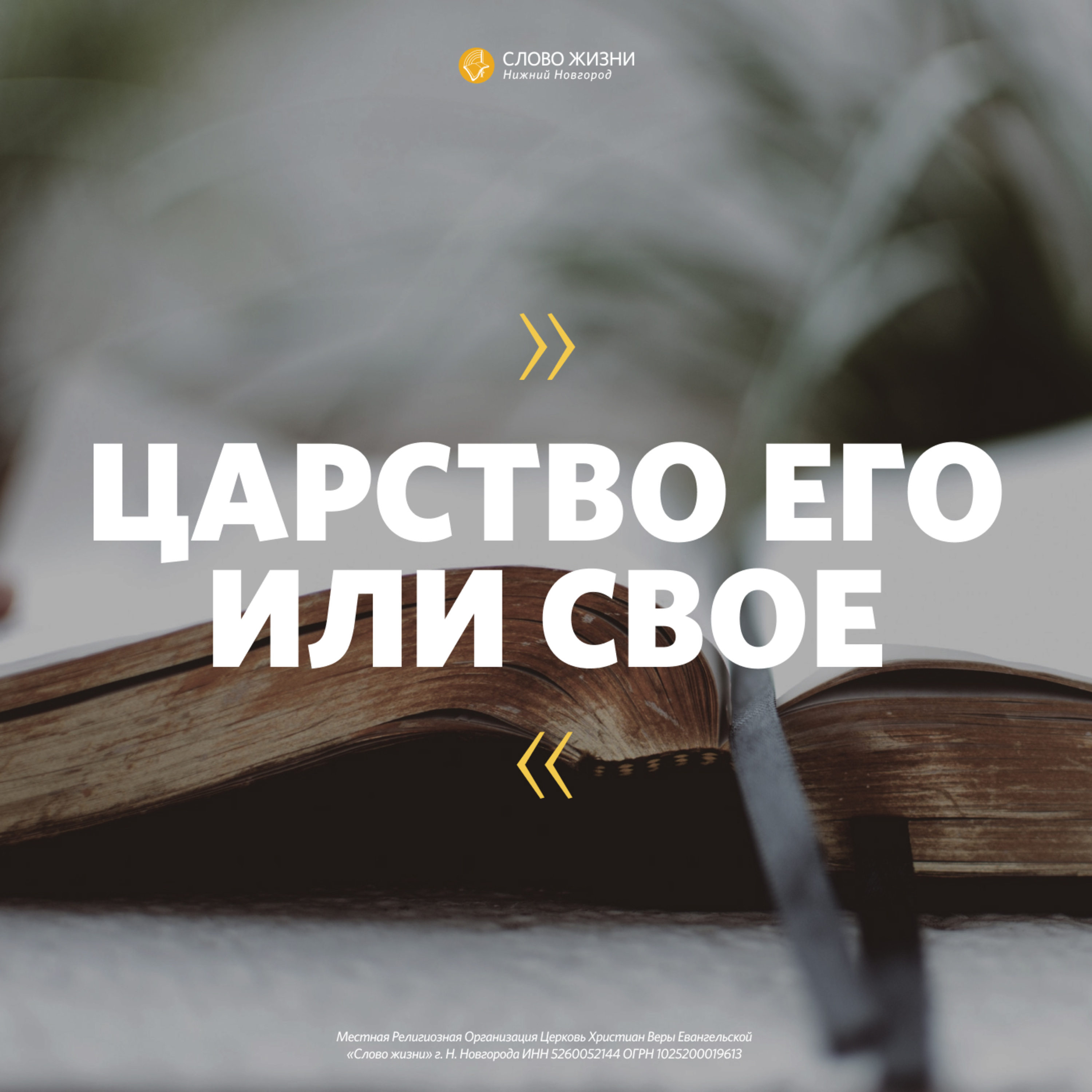 «Царство Его или своё» Евгения Вартанян 12 января 2020 г episode artwork