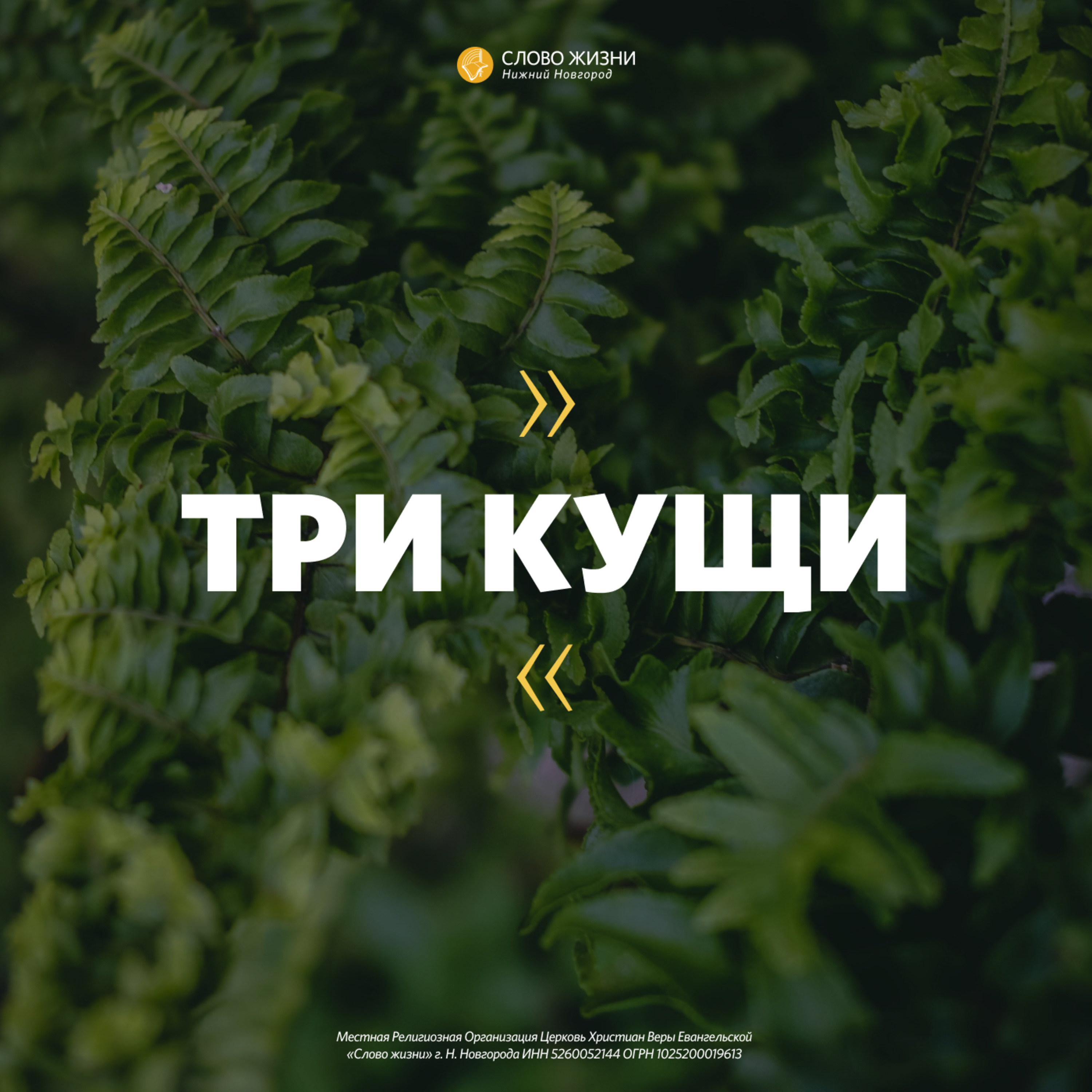 «Три кущи» Геннадий Ершов 28 июня 2020г episode artwork