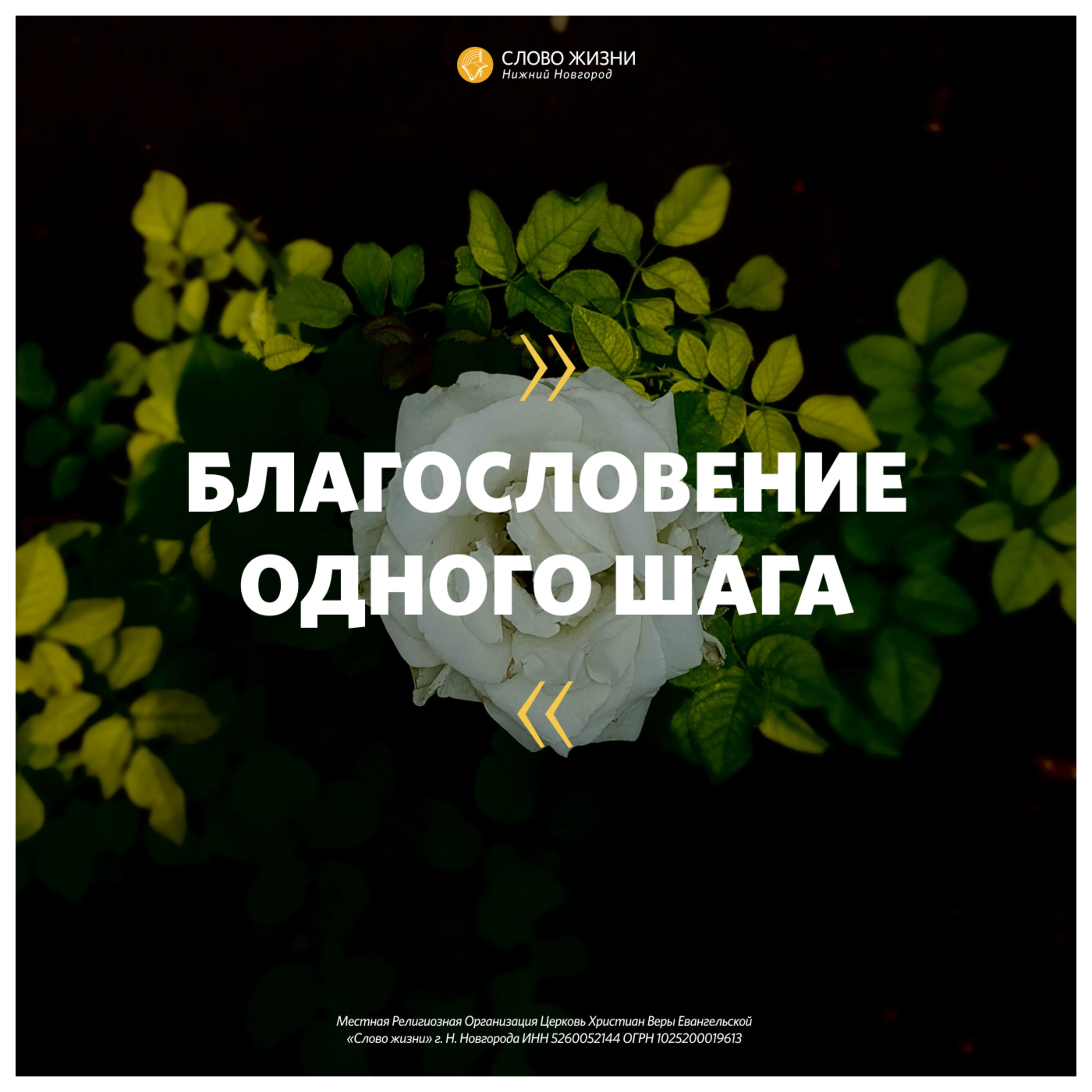 «Благословение одного шага» Риши Марвах 26 июля 2020 г