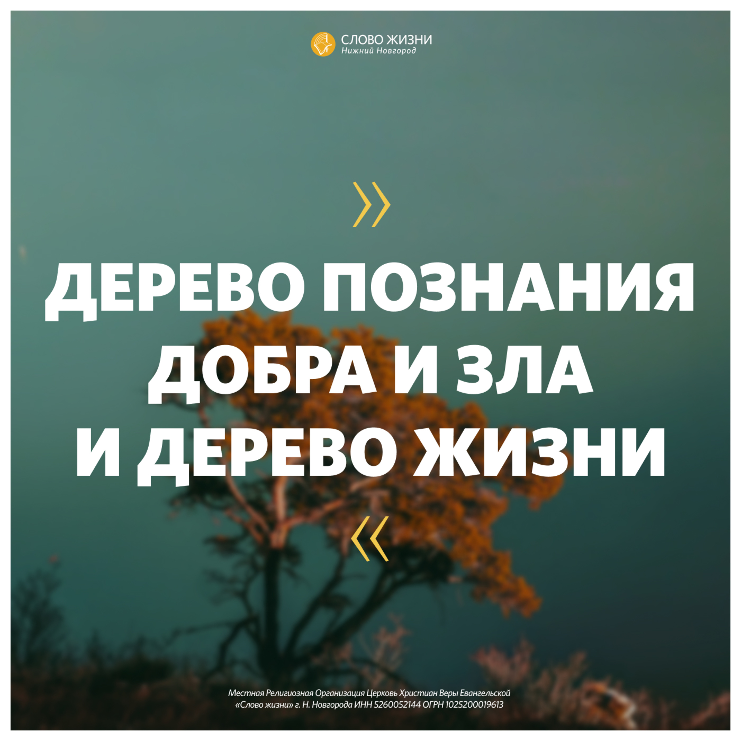 «Дерево познания добра и зла и дерево жизни» Михаил Шибаров 12 декабря 2020г episode artwork