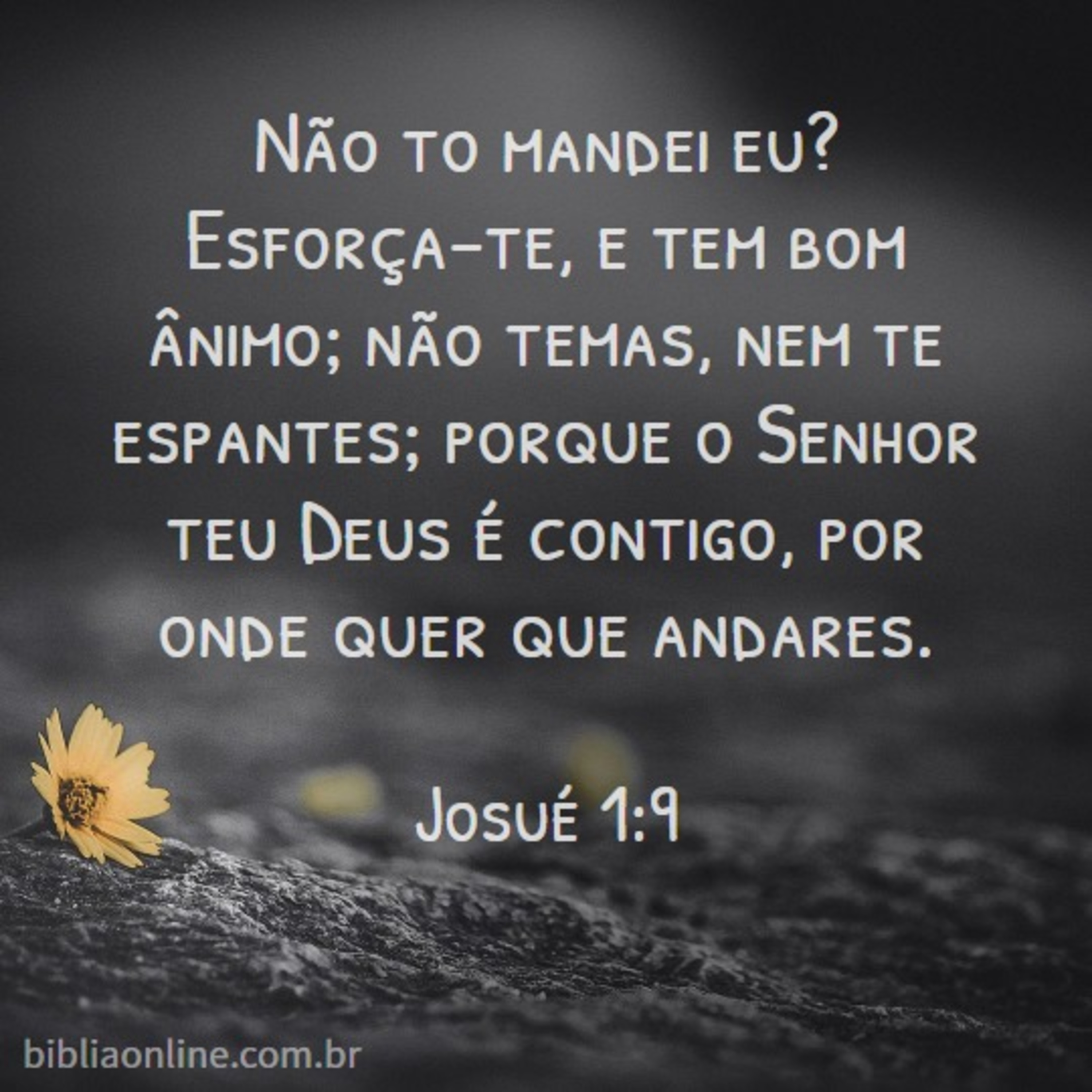 Marcos Barreto