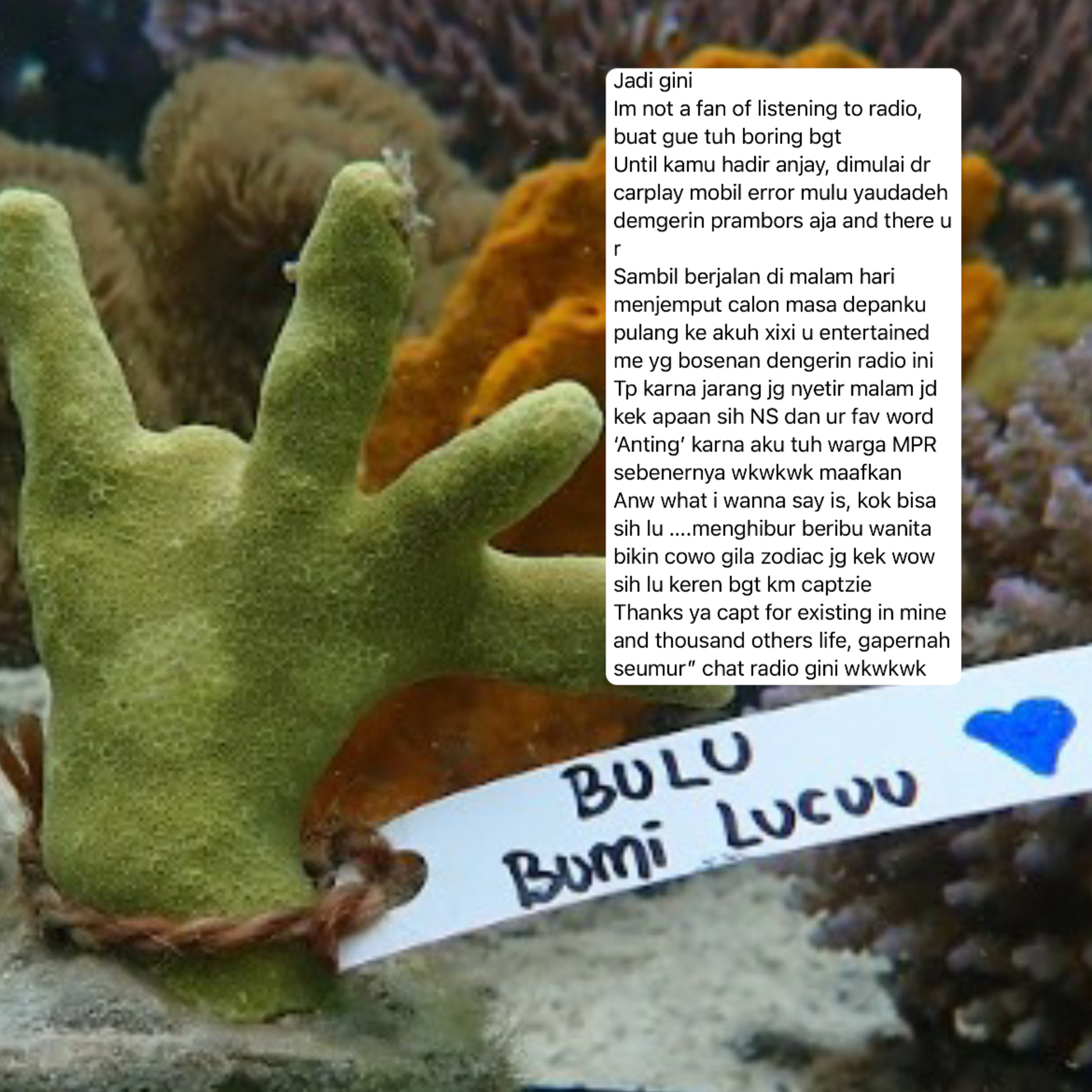 day 585. ff: laufey / setlist: boys like girls / cam: my first love + kiss / nspill: how to unlock ns600 cockpit? episode artwork