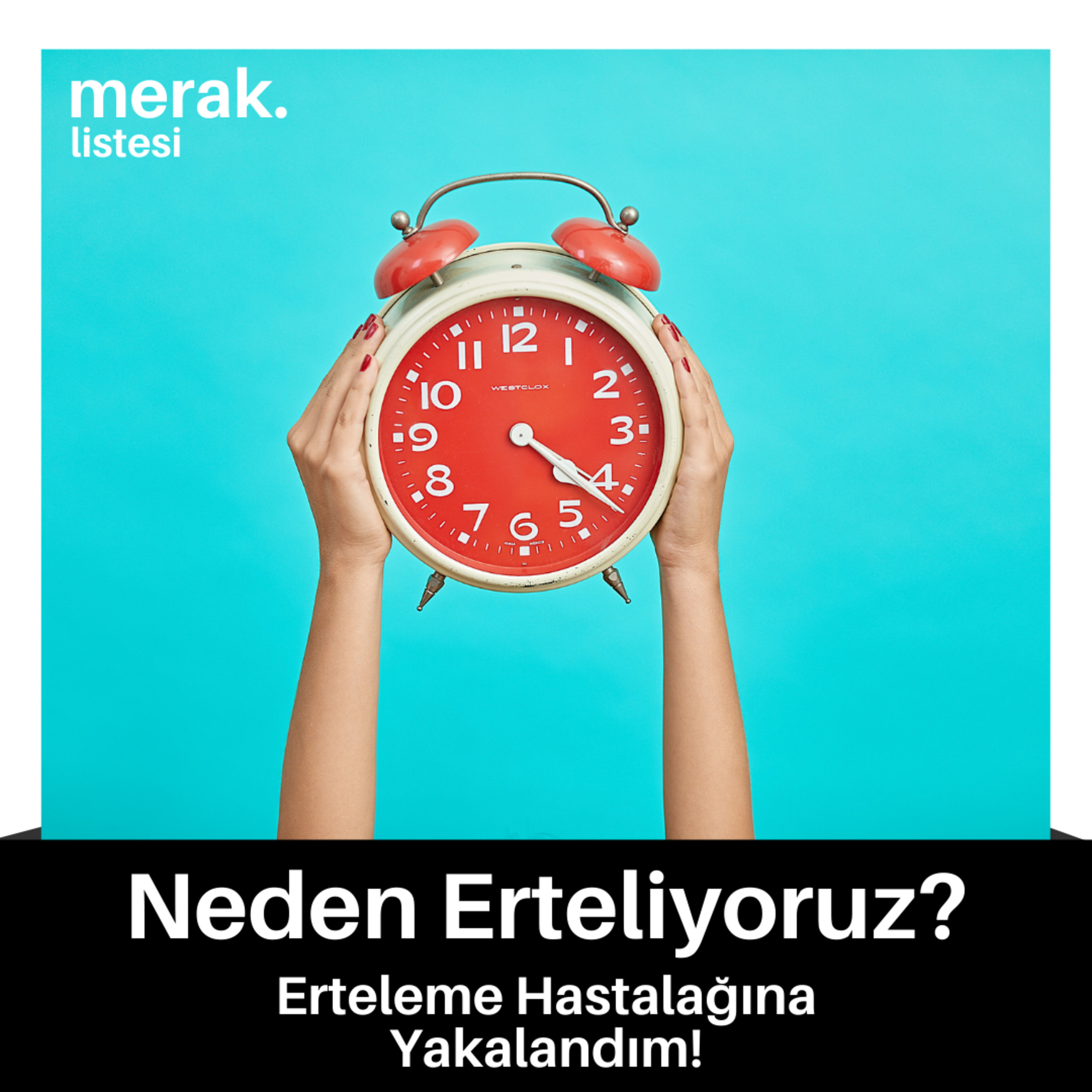 merak. listesi