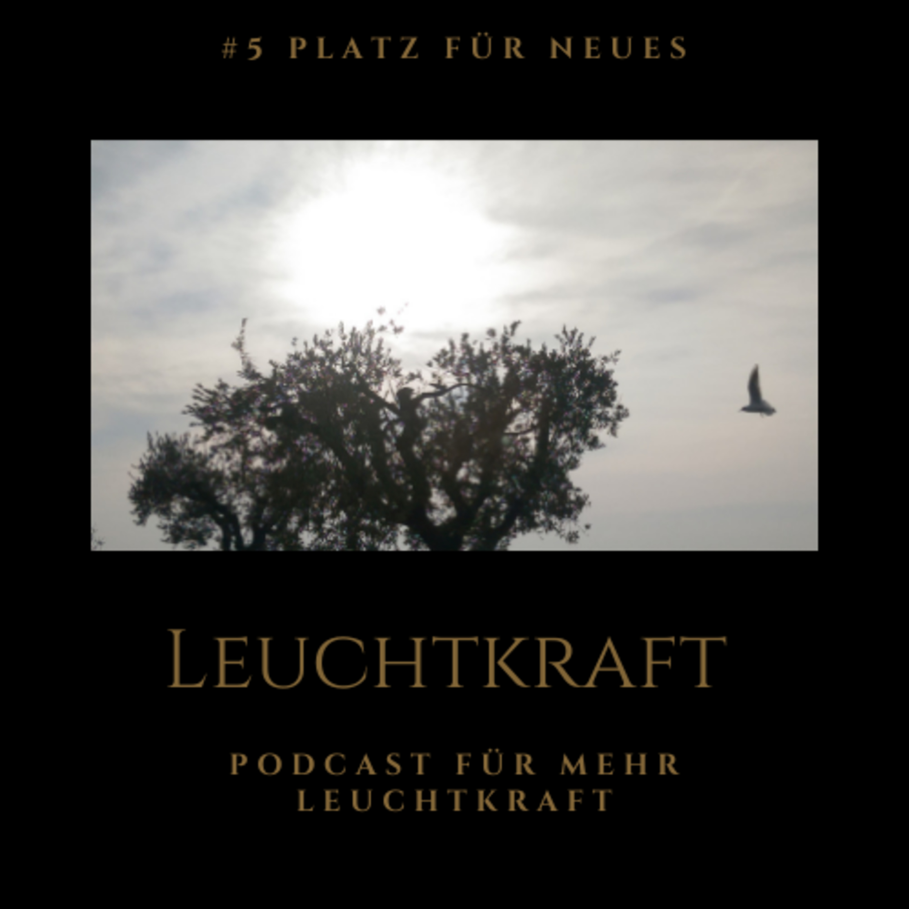 Der Podcast für Deine Leuchtkraft - von Nina Muigg