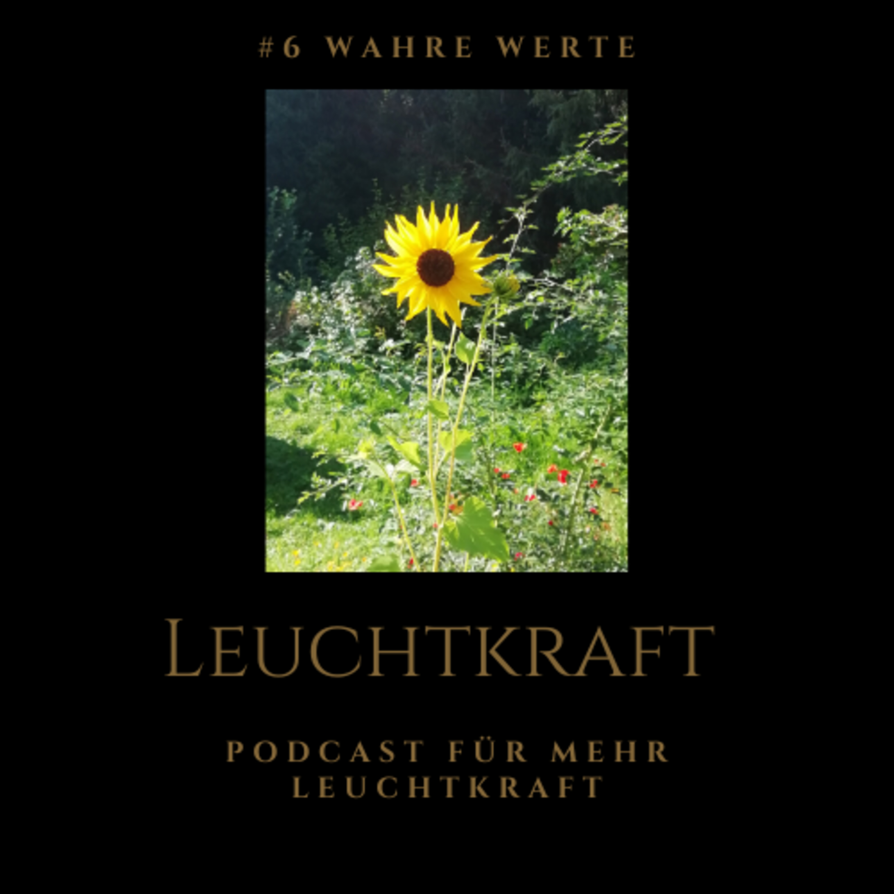 Der Podcast für Deine Leuchtkraft - von Nina Muigg