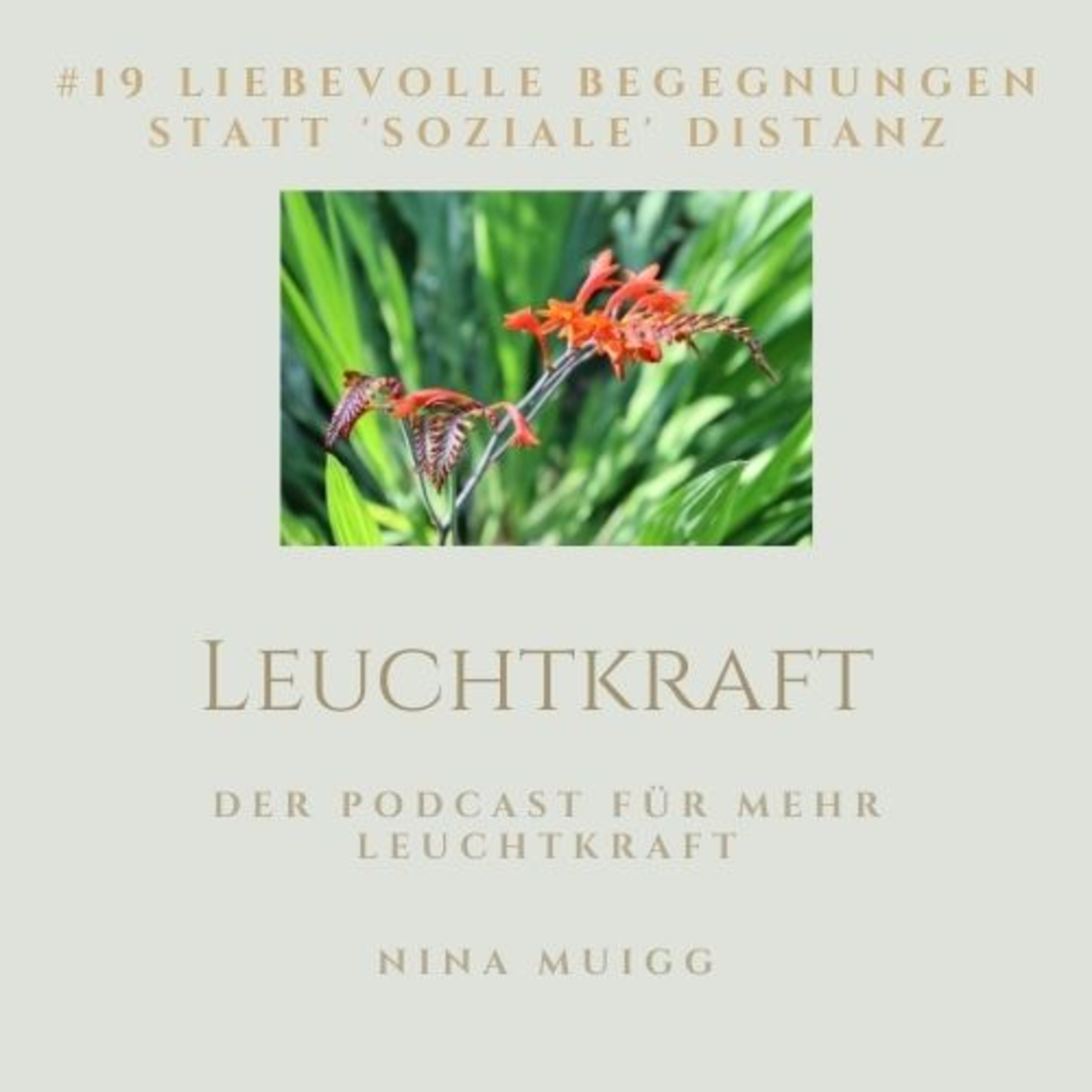 Der Podcast für Deine Leuchtkraft - von Nina Muigg