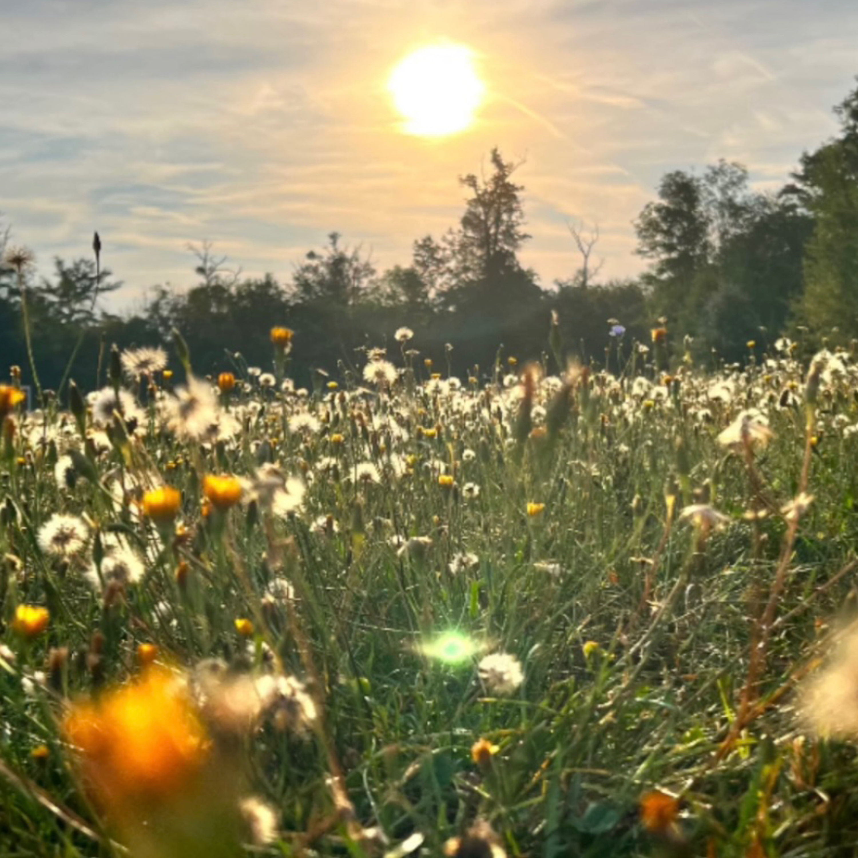 Horoskop, Planetenenergien, Zeitqualität von AstrologieMedium AstroAstrid