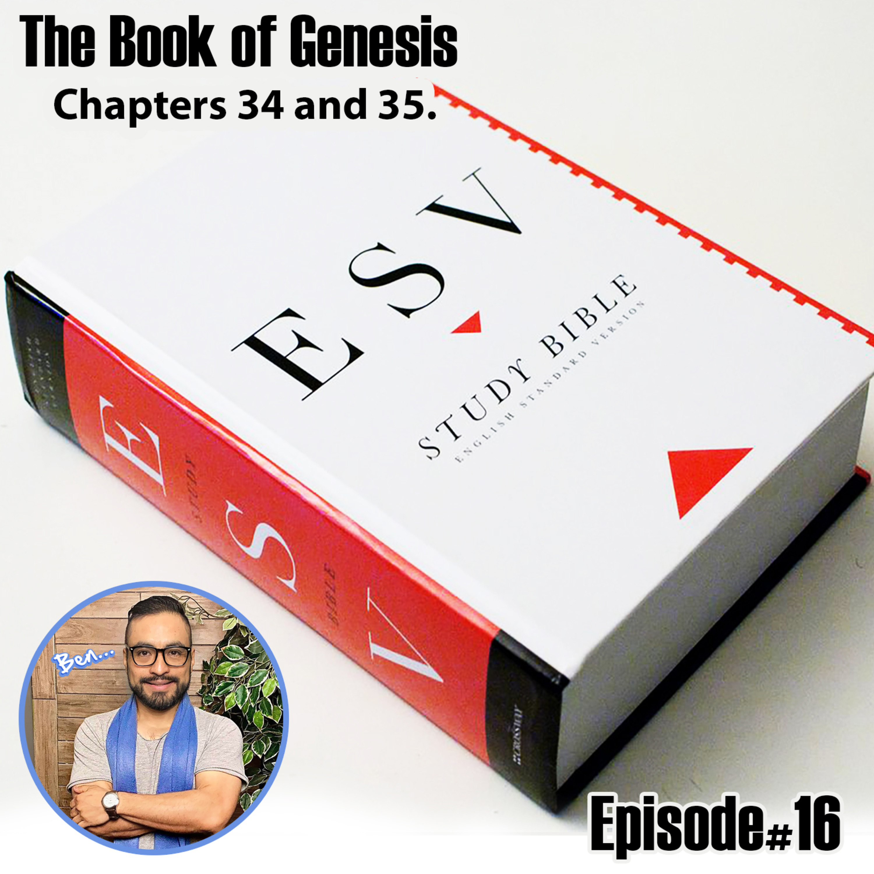 The Book of Genesis Part 2 Chapters 34 and 35. ESV Version. episode artwork