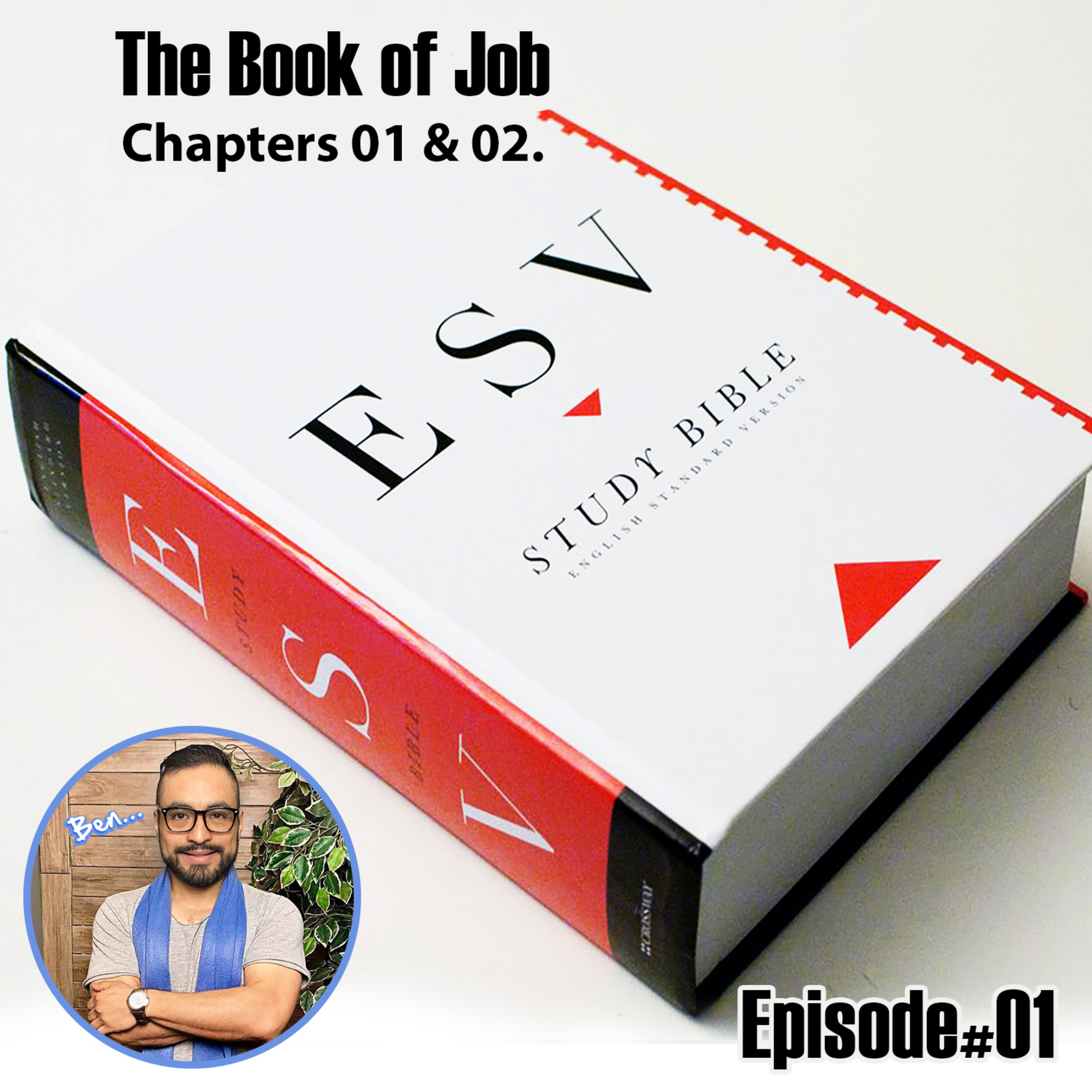 The Book of Job Chapter 01 & 02 ESV Version. episode artwork