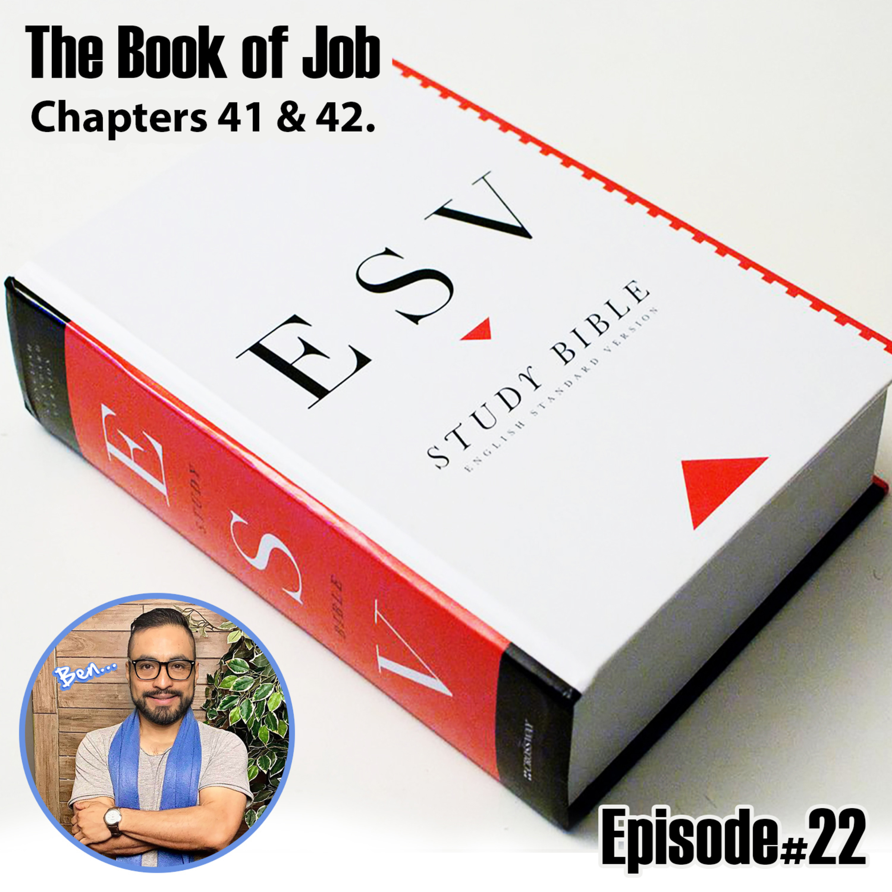 The Book of Job Chapter 41 & 42 ESV Version. episode artwork