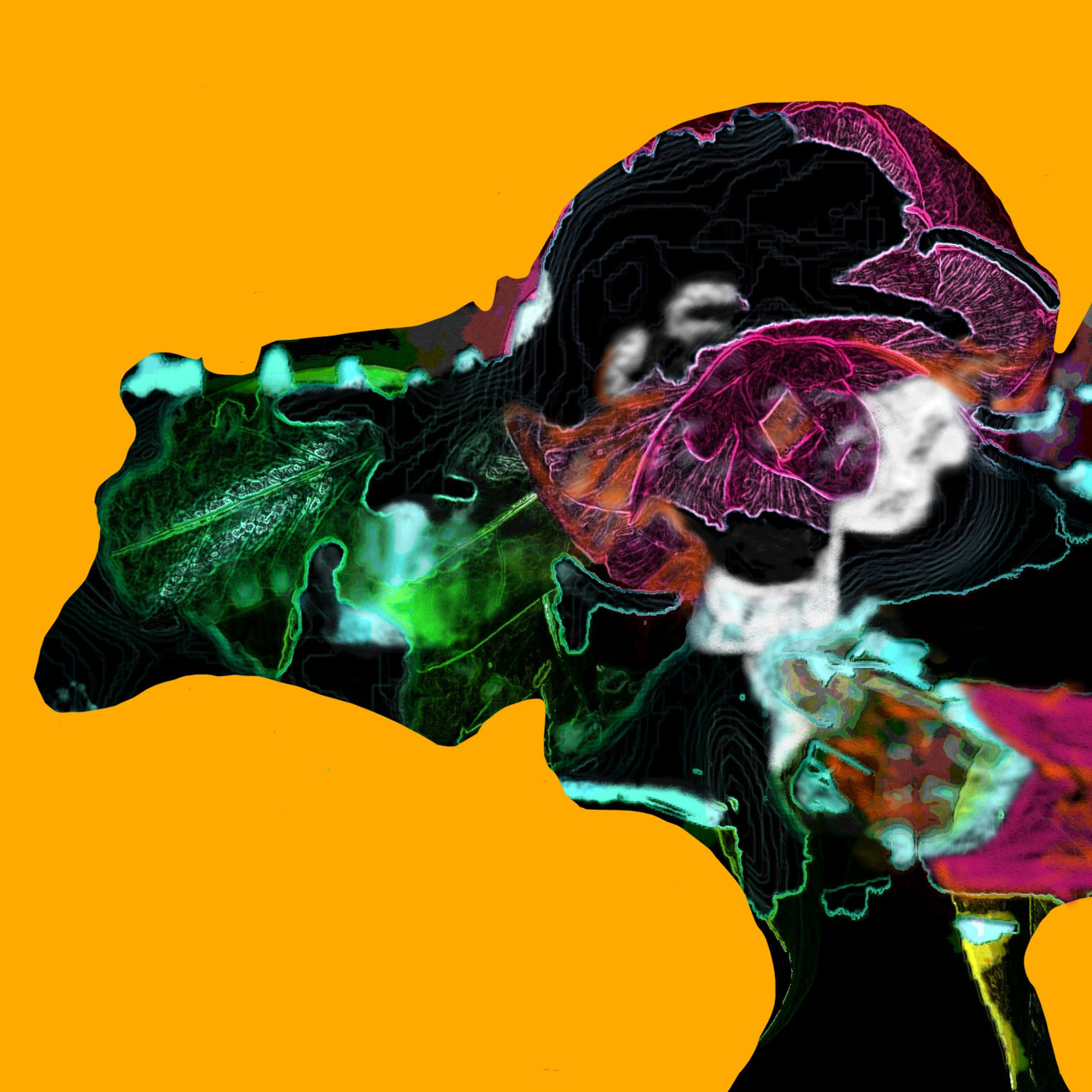 Elio D’Anna | The Dreamer