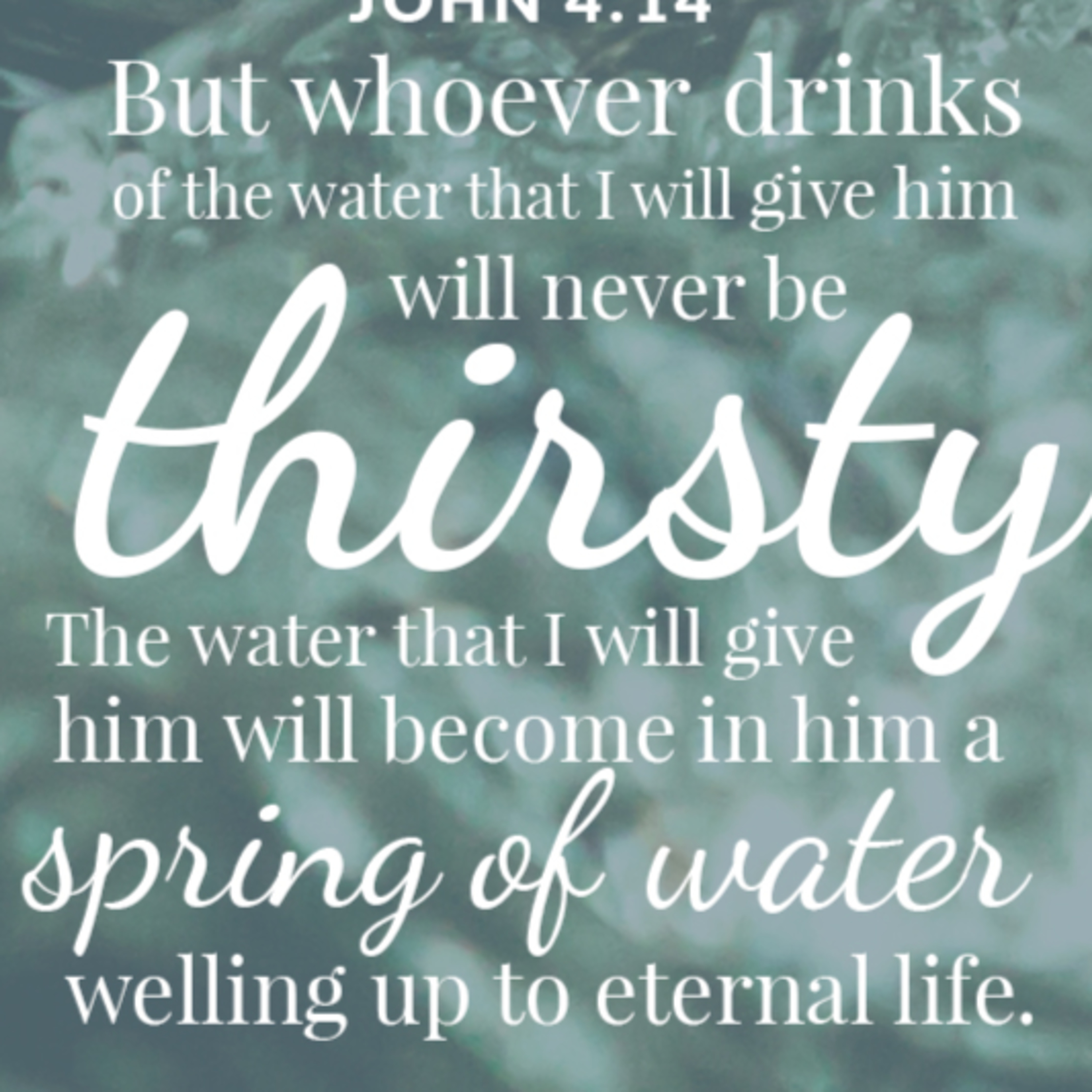 Manna for your Soul