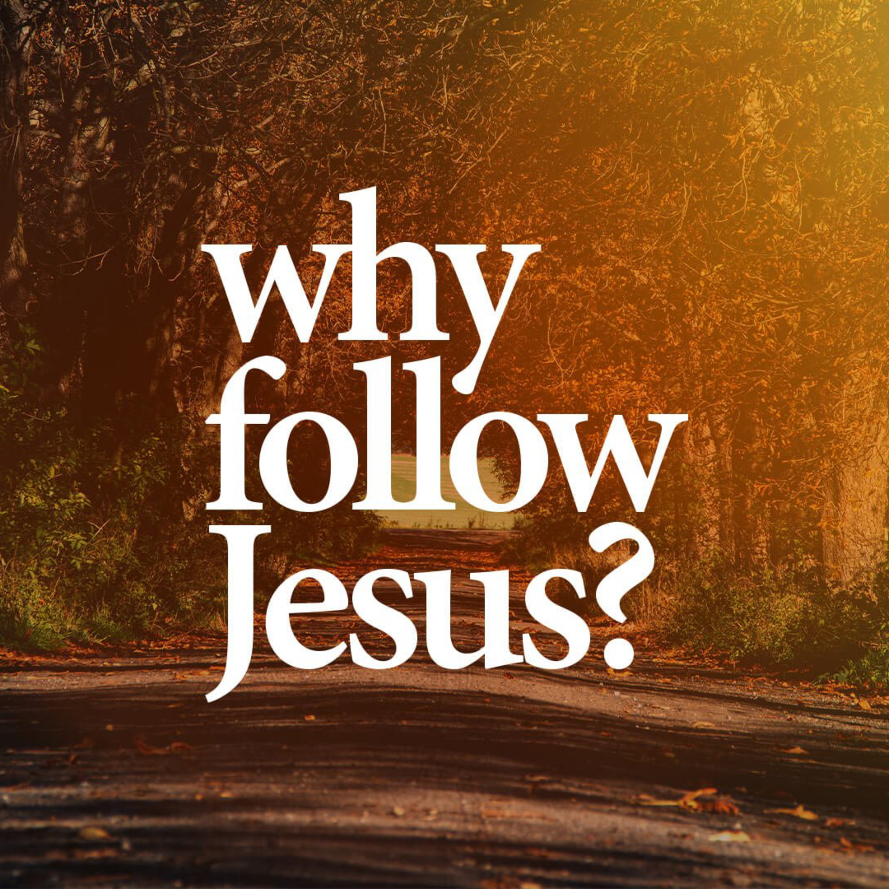 Manna for your Soul