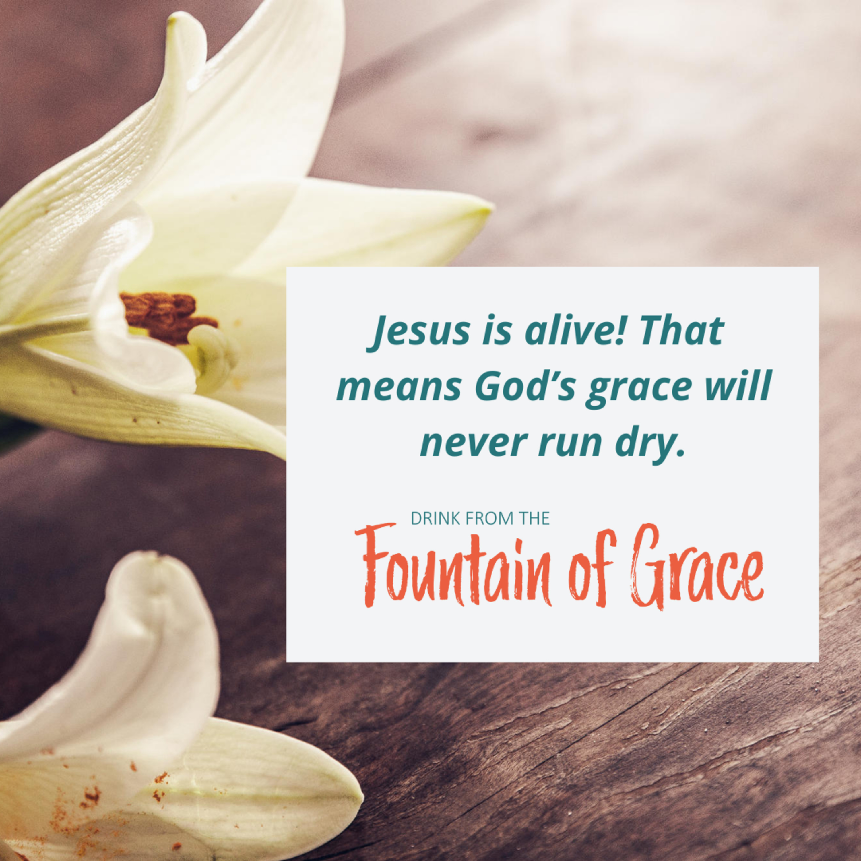 Manna for your Soul