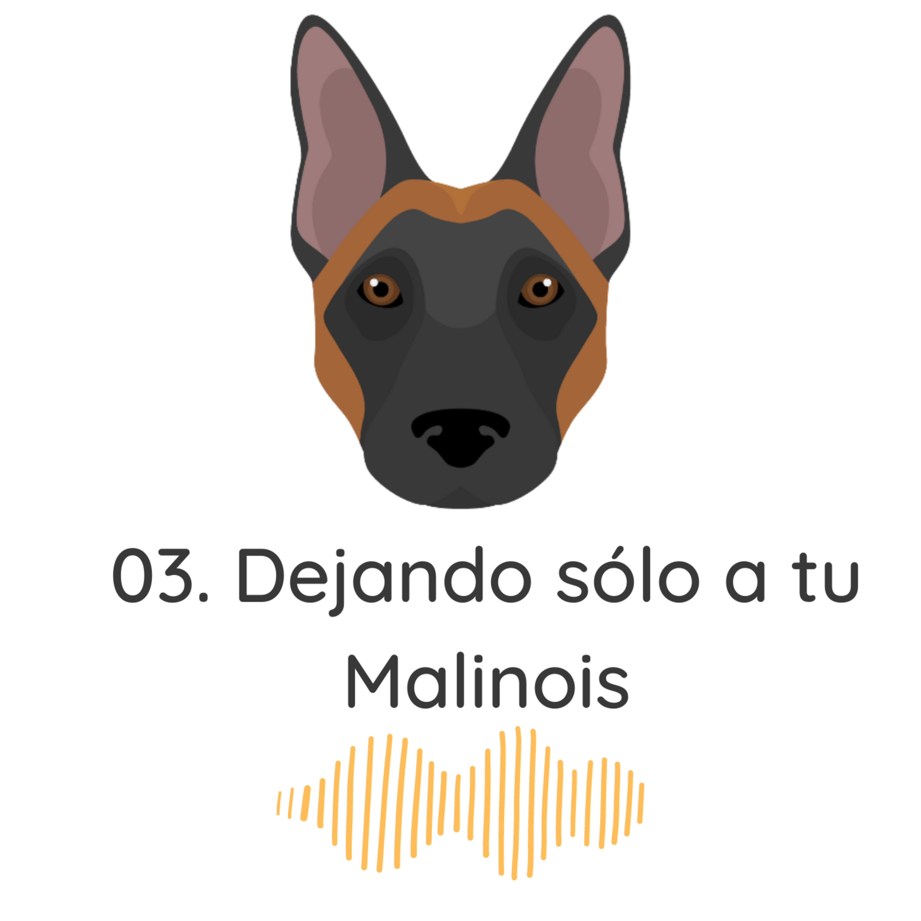 03.Dejando sólo a tu Malinois y las vacaciones de verano episode artwork