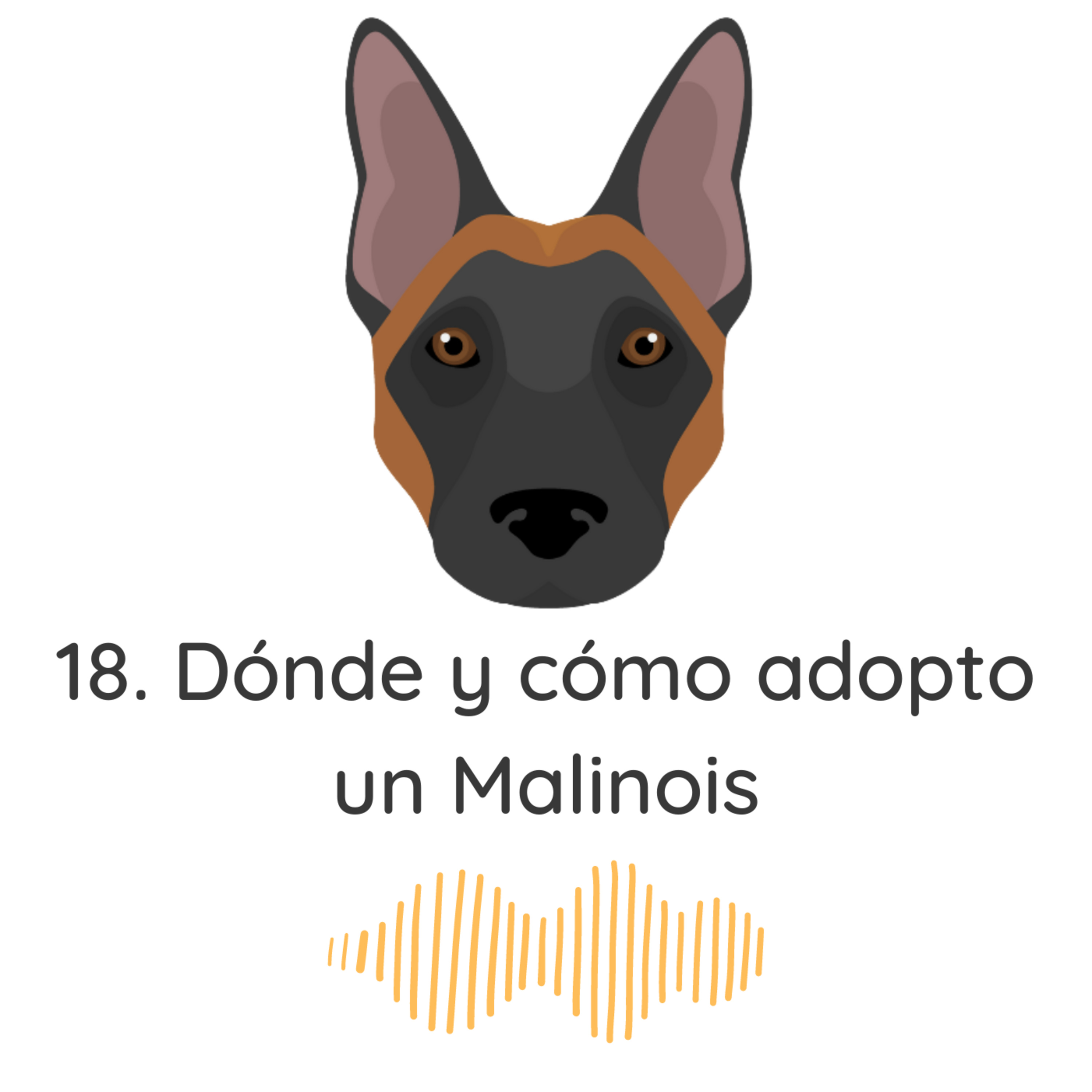 18. Dónde y cómo adopto un Malinois episode artwork
