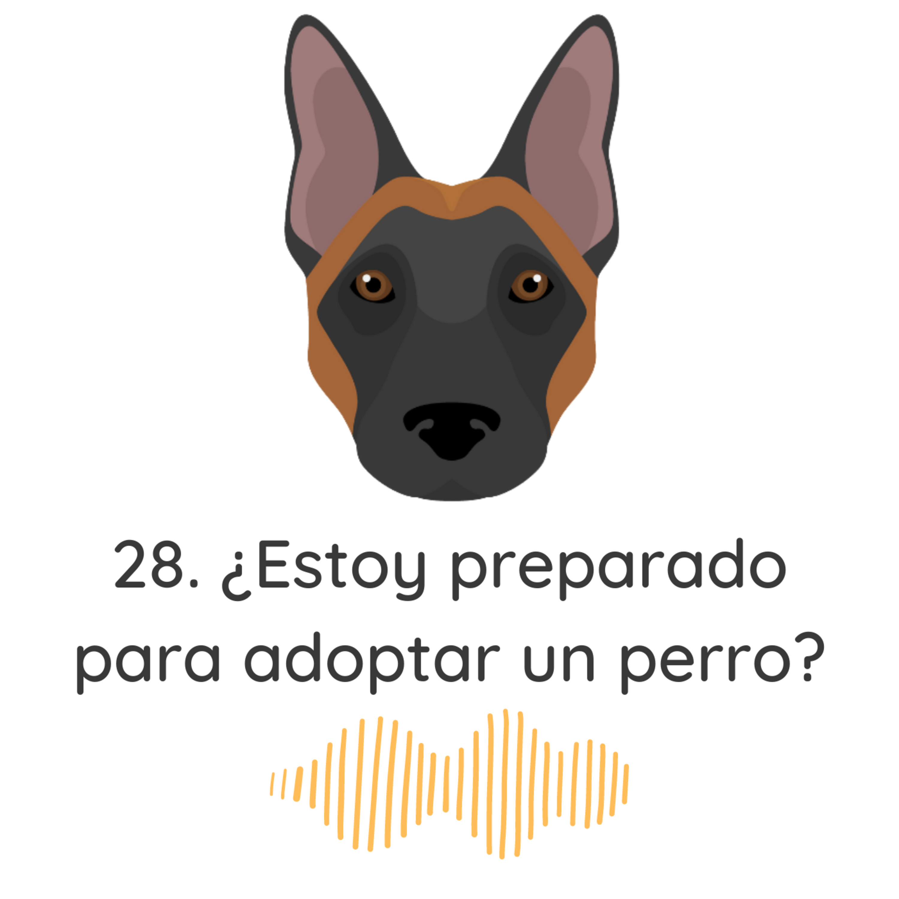 El Profe Malinois | Adiestramiento canino
