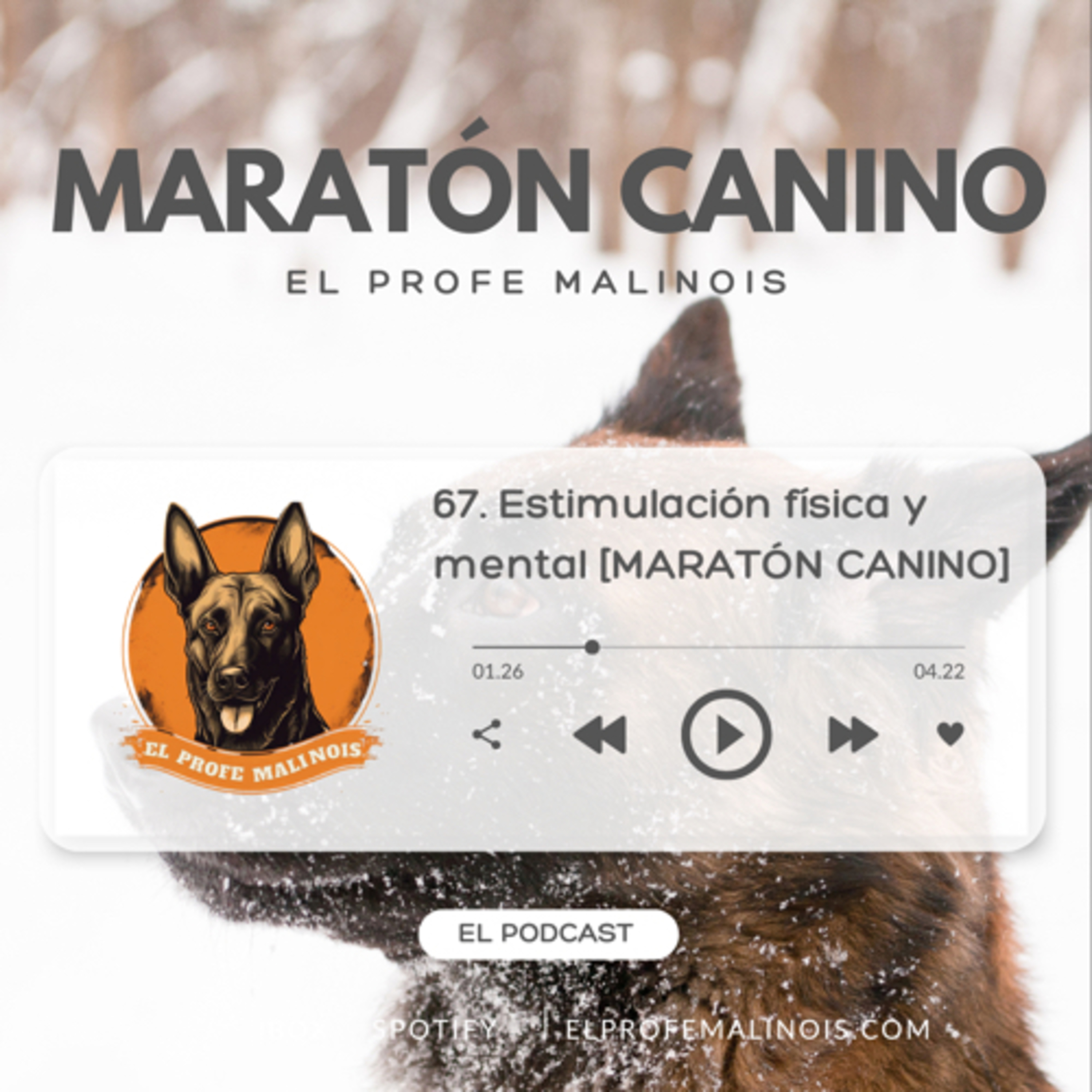 68. Importancia de la estimulación física y mental [MARATON CANINO] episode artwork