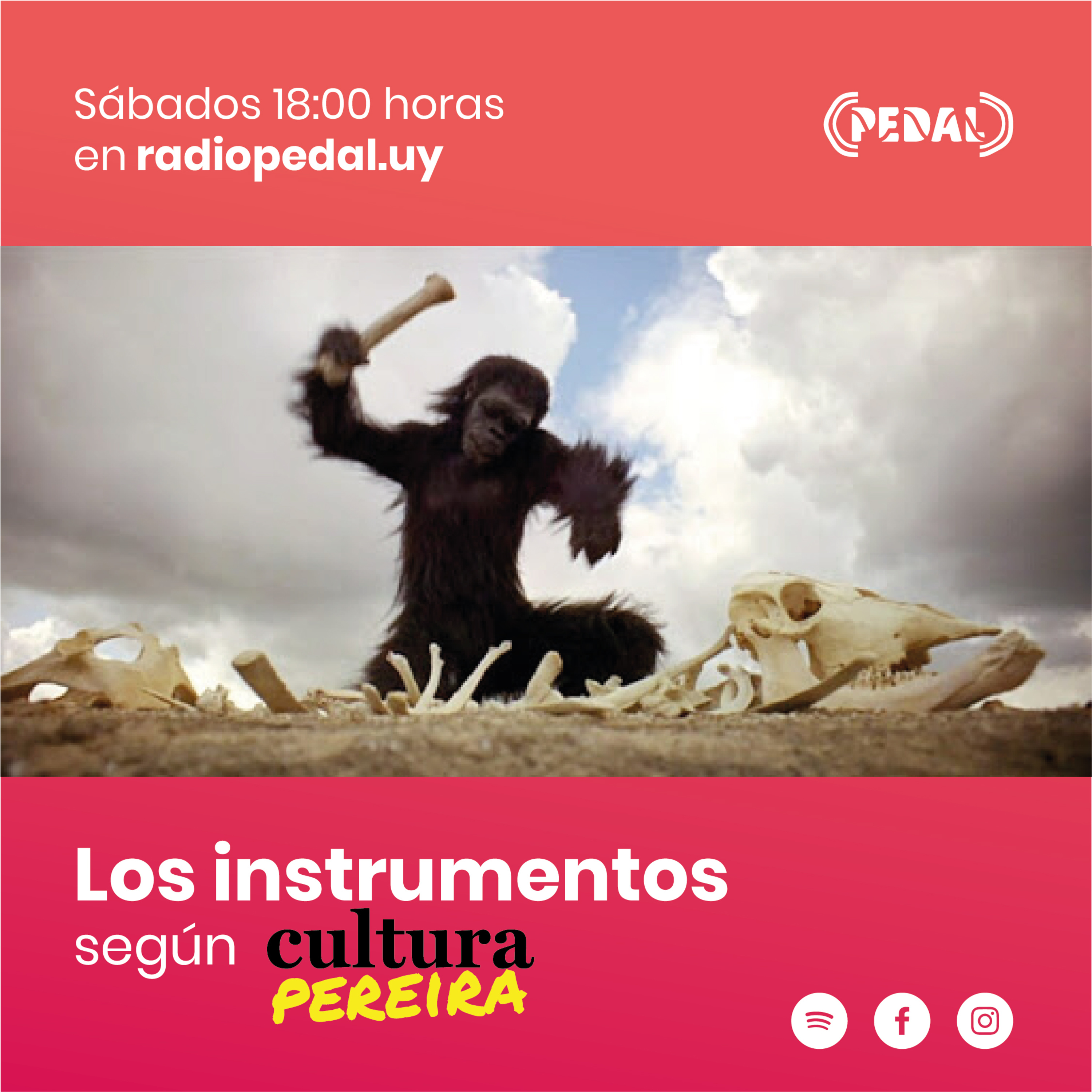 Cultura Pereira