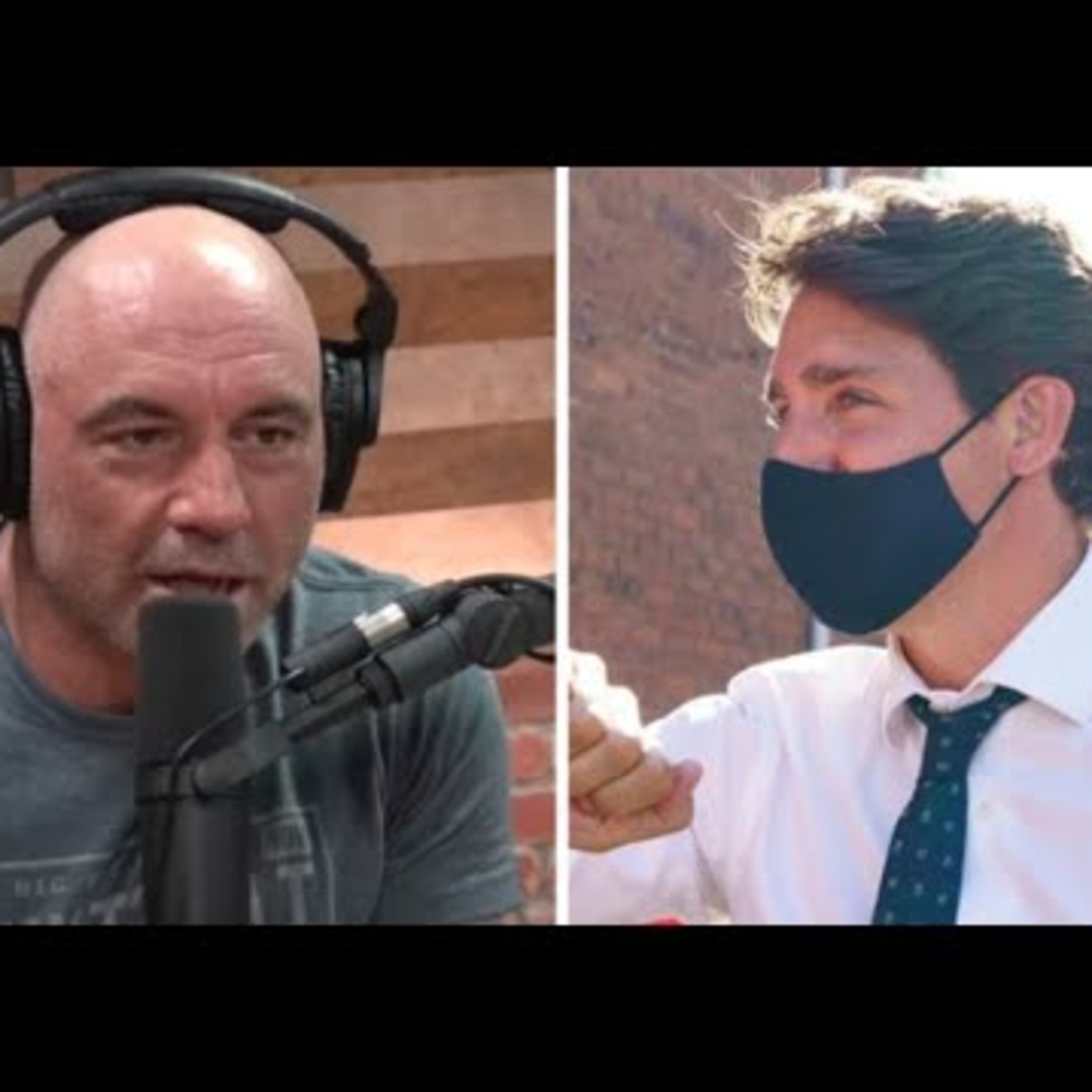 Rogan vs Trudeau, Queen Romana goes Wesley Snipes | UnAuthorized Opinions 65 episode artwork
