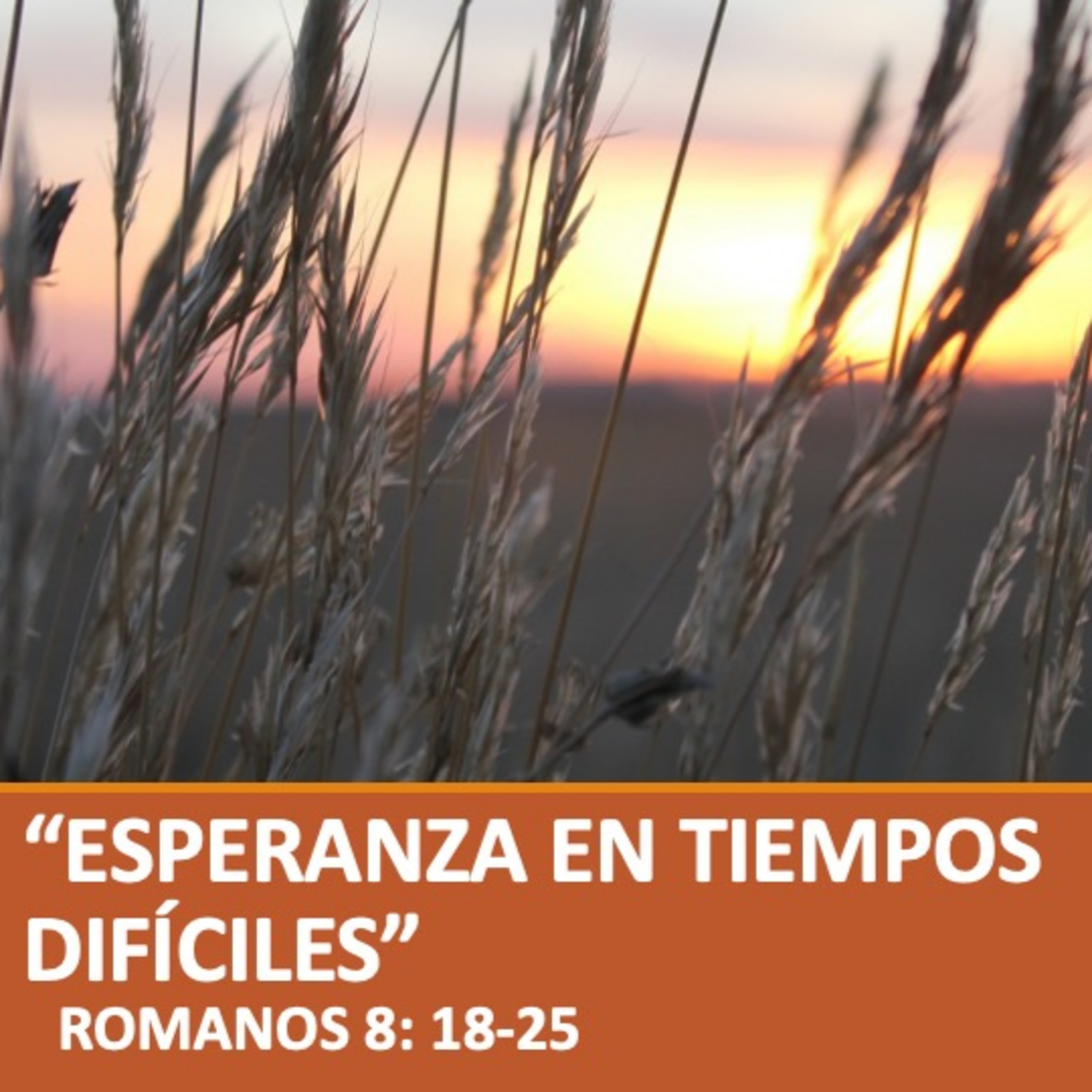 Esperanza en tiempos difíciles episode artwork
